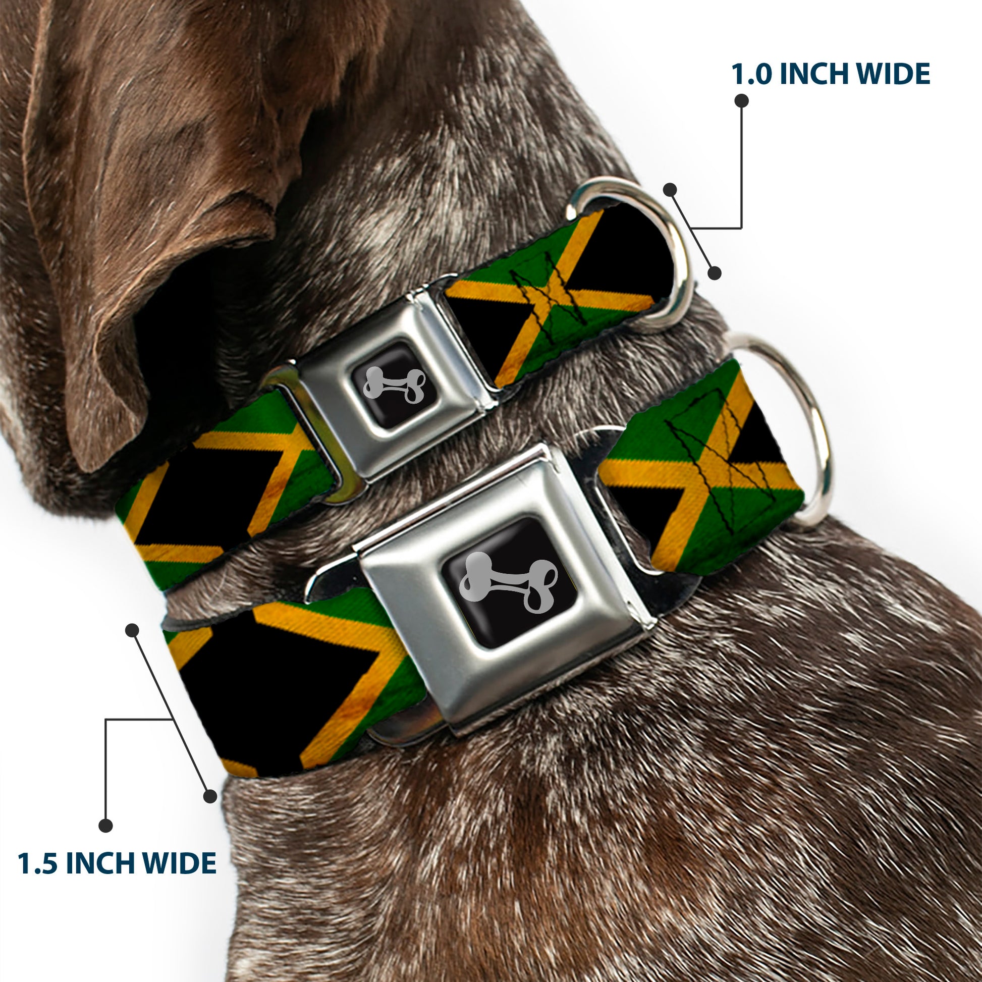 Dog Bone Seatbelt Buckle Collar - Jamaica Flags Vintage Black Seatbelt Buckle Collars Buckle-Down