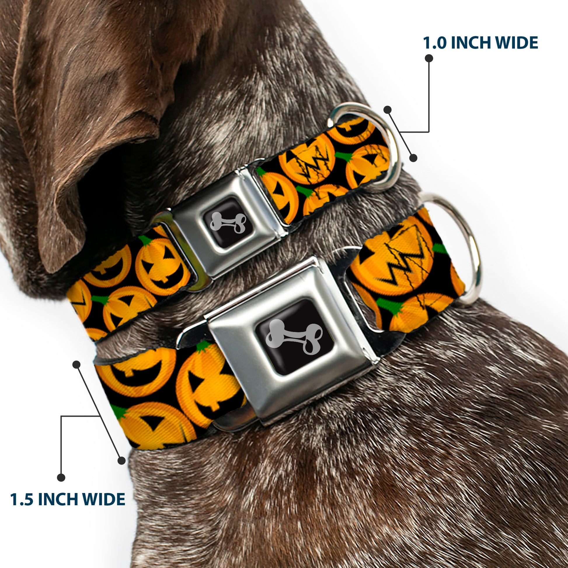 Dog Bone Seatbelt Buckle Collar - Jack-o'-Lantern Collage Black Seatbelt Buckle Collars Buckle-Down