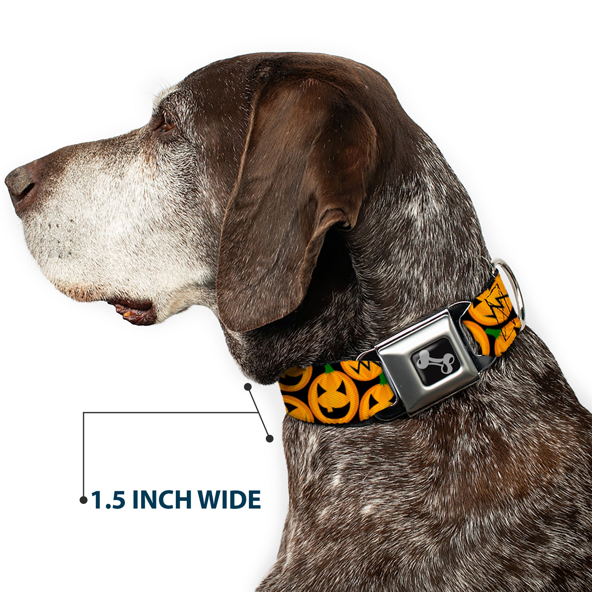 Dog Bone Seatbelt Buckle Collar - Jack-o'-Lantern Collage Black Seatbelt Buckle Collars Buckle-Down
