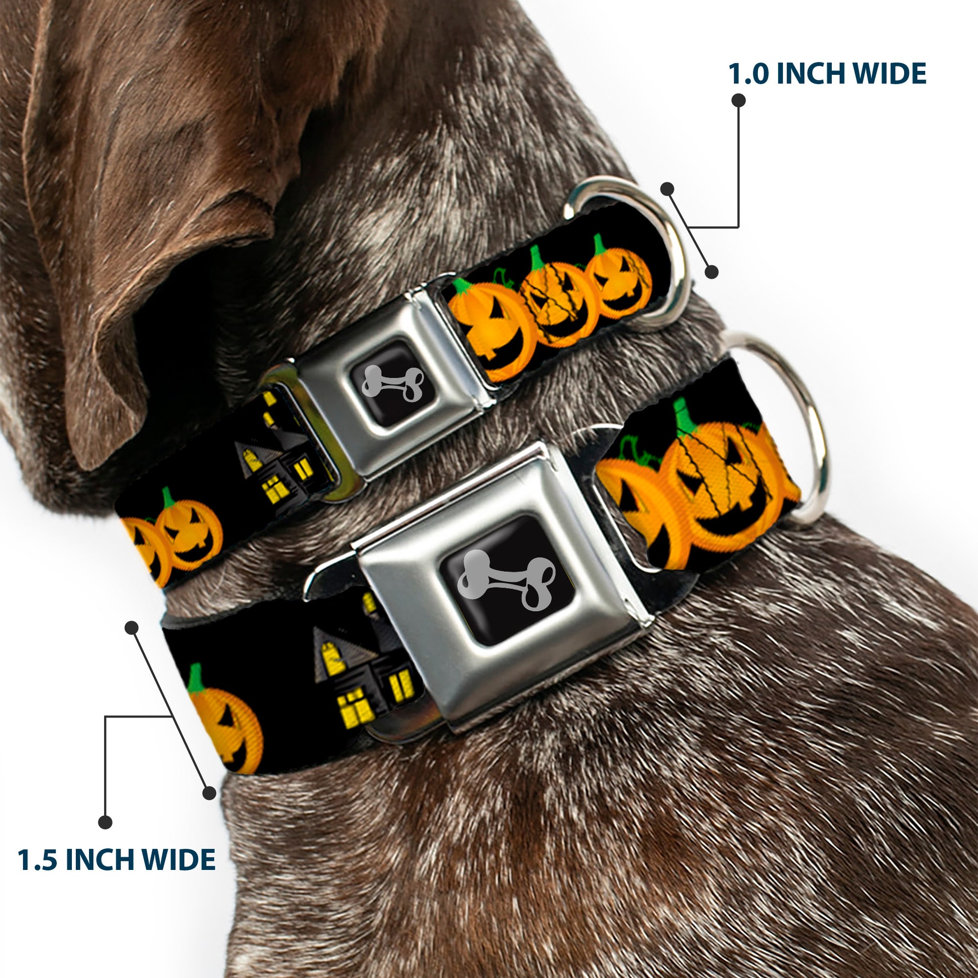 Dog Bone Seatbelt Buckle Collar - Jack-o'-Lanterns/Haunted House Black/Yellow Seatbelt Buckle Collars Buckle-Down