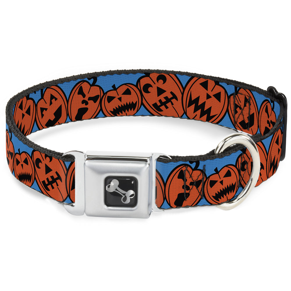Dog Bone Seatbelt Buckle Collar - Jack-o'-Lanterns Blue Seatbelt Buckle Collars Buckle-Down