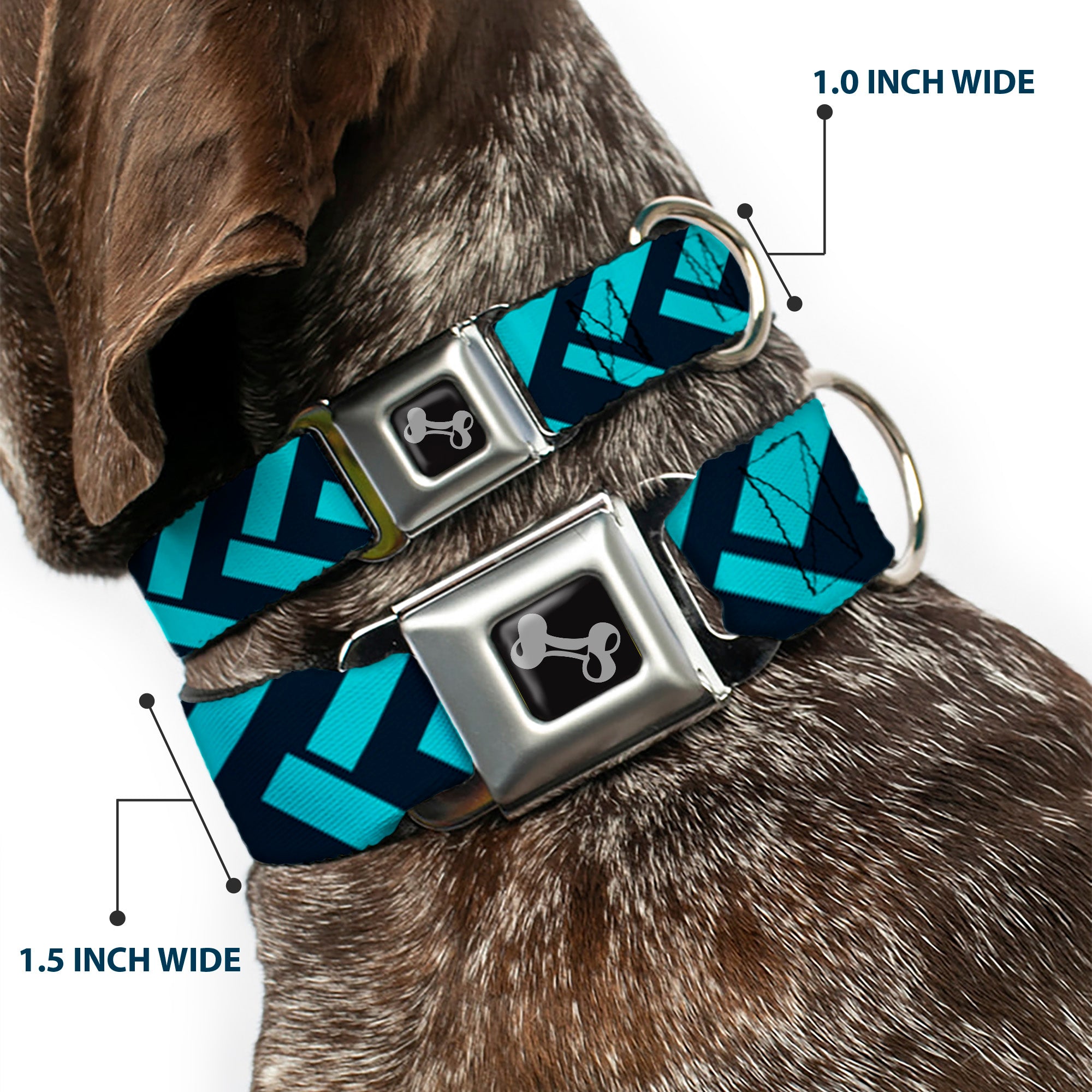 Dog Bone Seatbelt Buckle Collar - Jagged Chevron Navy/Turquoise Seatbelt Buckle Collars Buckle-Down