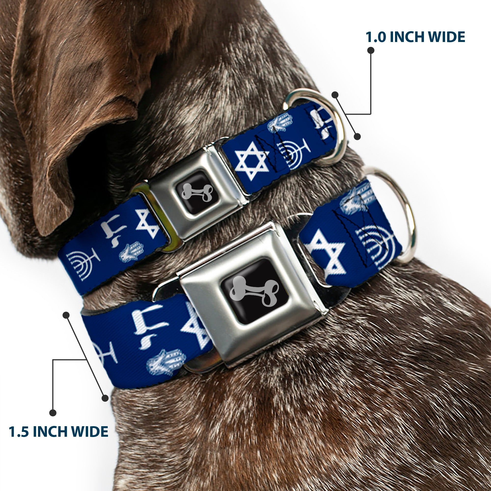 Dog Bone Seatbelt Buckle Collar - Jewish Symbols-4 Blue/White Seatbelt Buckle Collars Buckle-Down