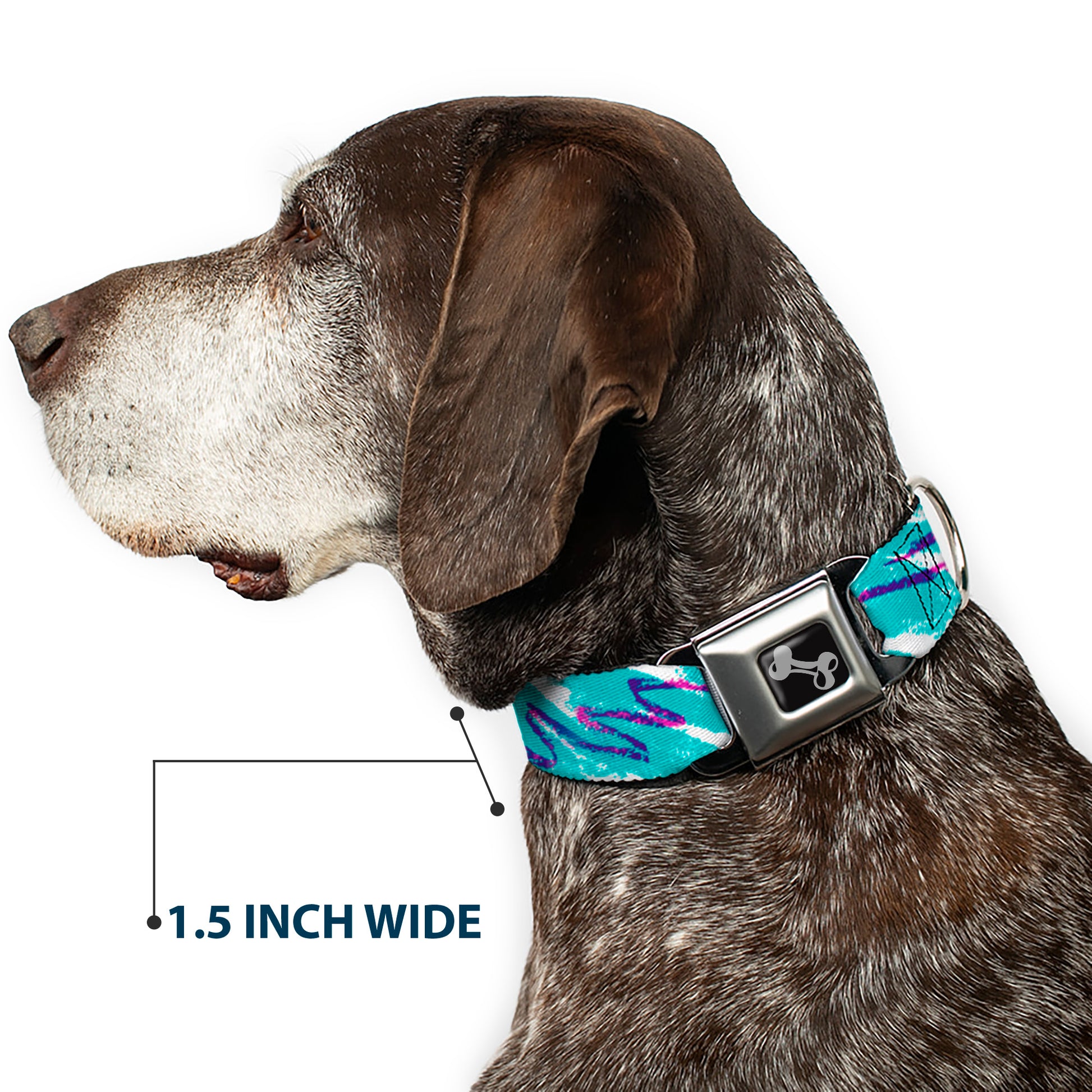 Dog Bone Black/Silver Seatbelt Buckle Collar - Jazzy Wave Scribble White/Teal/Purple Seatbelt Buckle Collars Buckle-Down