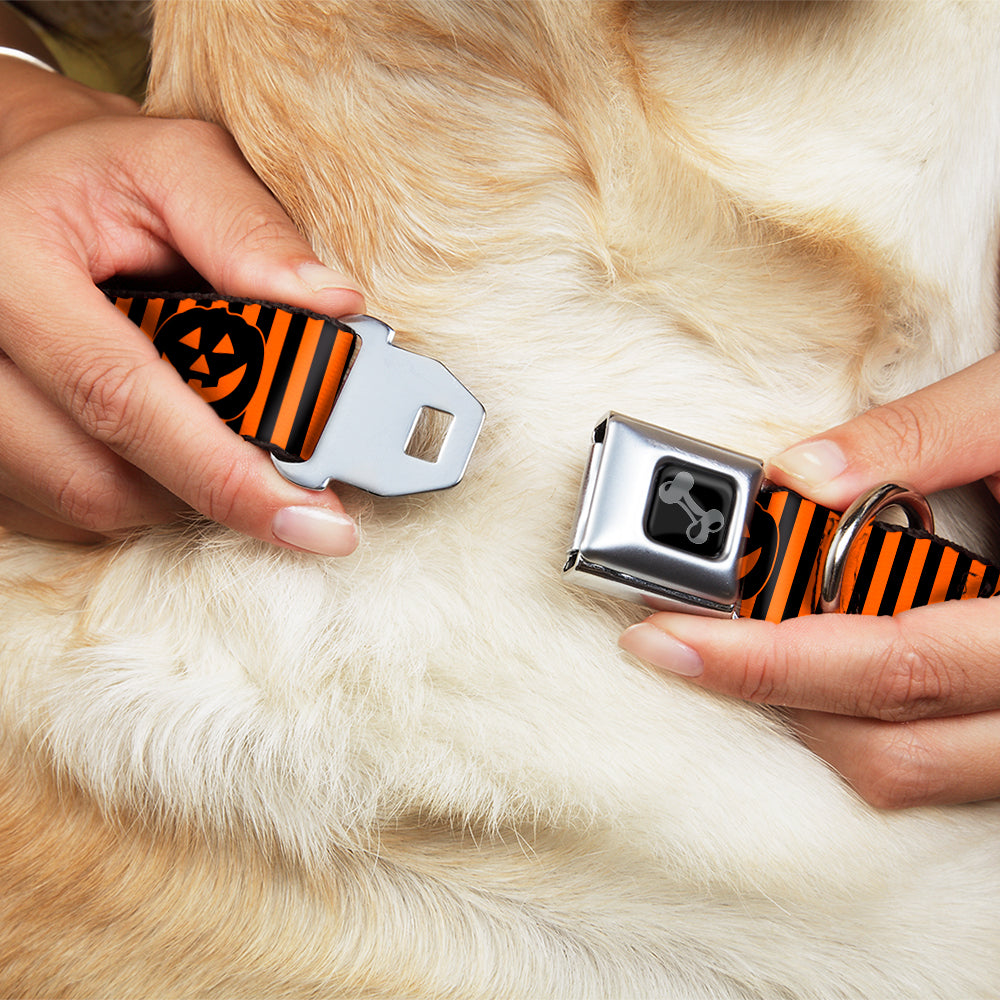 Dog Bone Black/Silver Seatbelt Buckle Collar - Jack-o'-Lantern Pumpkin Stripe Orange/Black Seatbelt Buckle Collars Buckle-Down