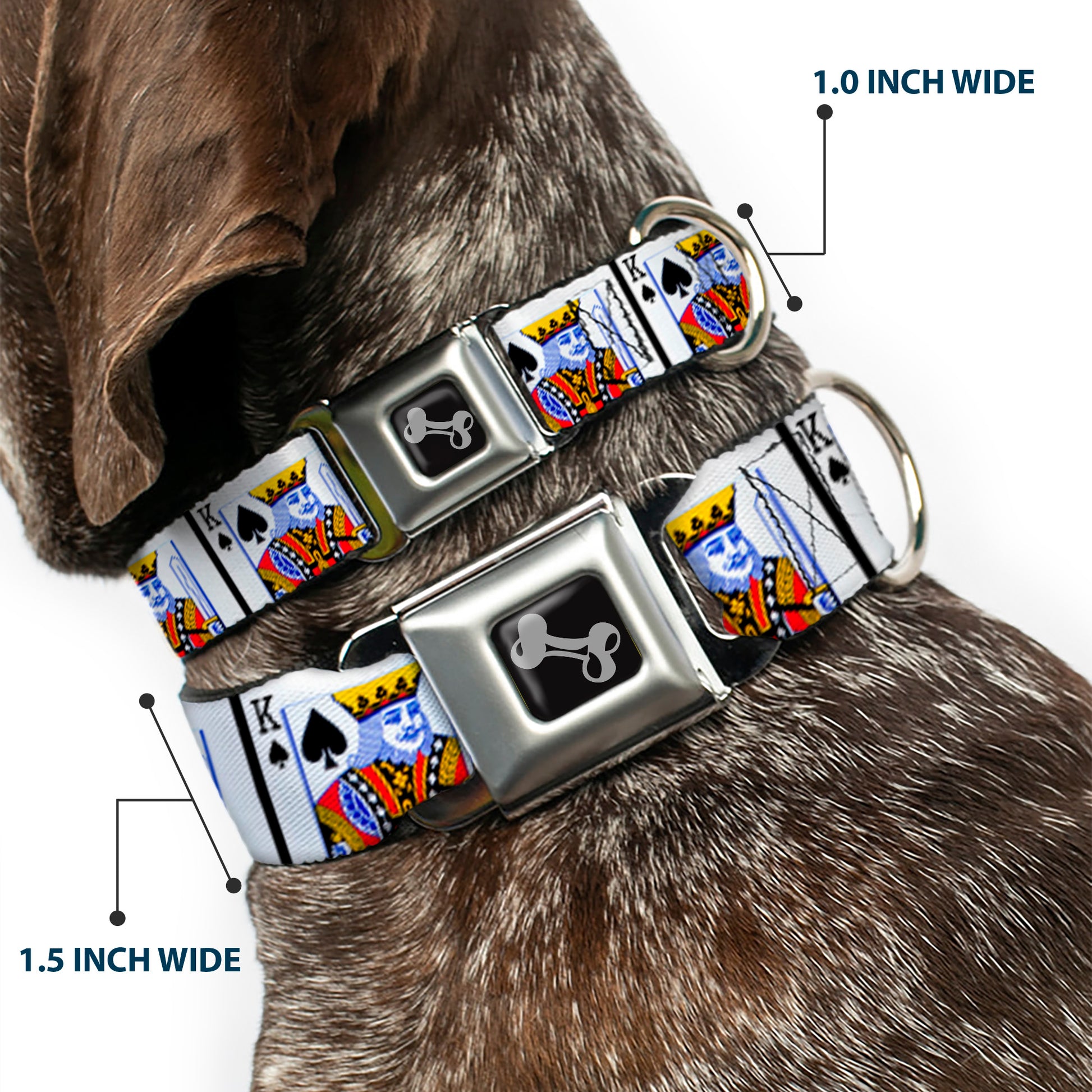 Dog Bone Seatbelt Buckle Collar - King of Spades Seatbelt Buckle Collars Buckle-Down