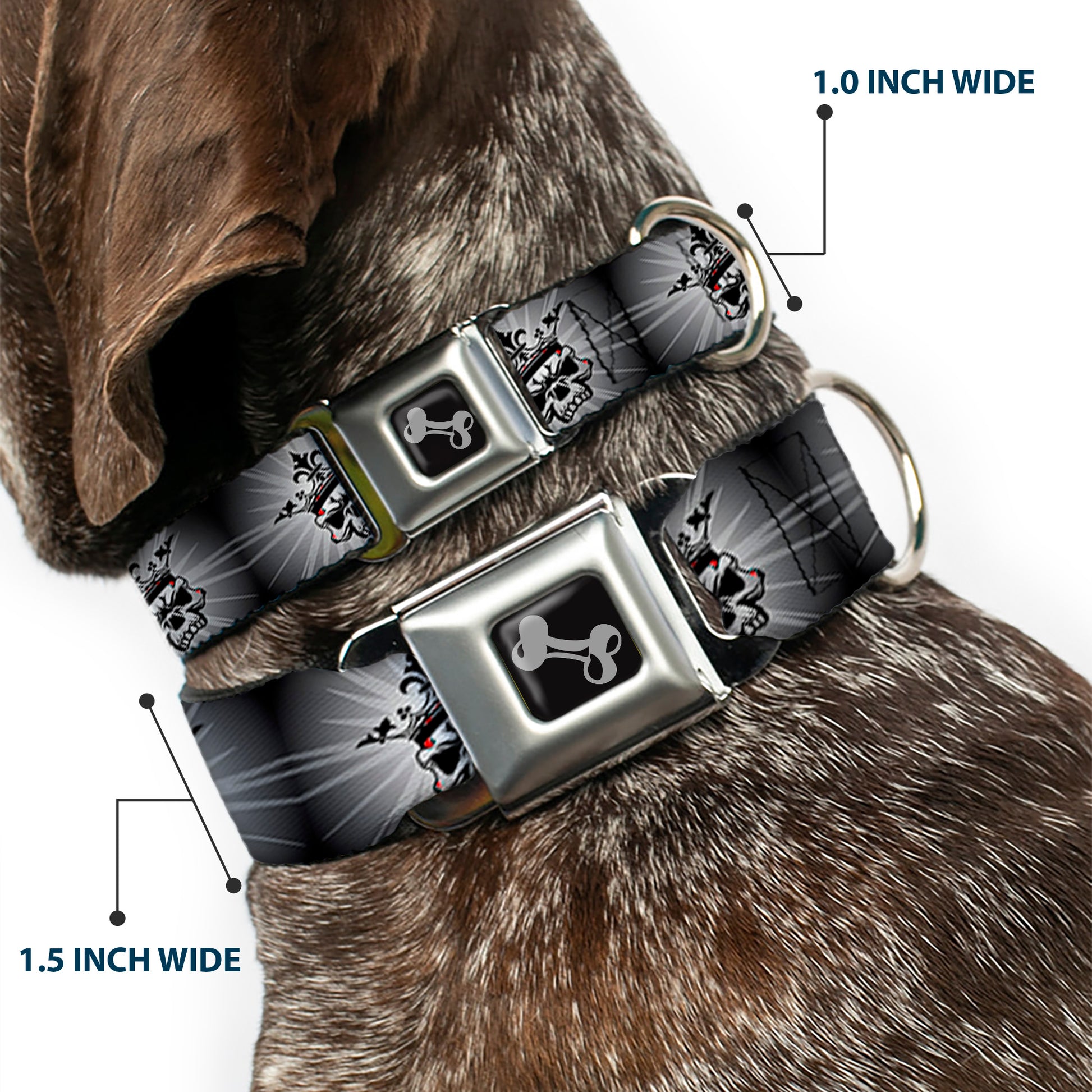 Dog Bone Seatbelt Buckle Collar - King Skull Blocks/Rays Grays Seatbelt Buckle Collars Buckle-Down