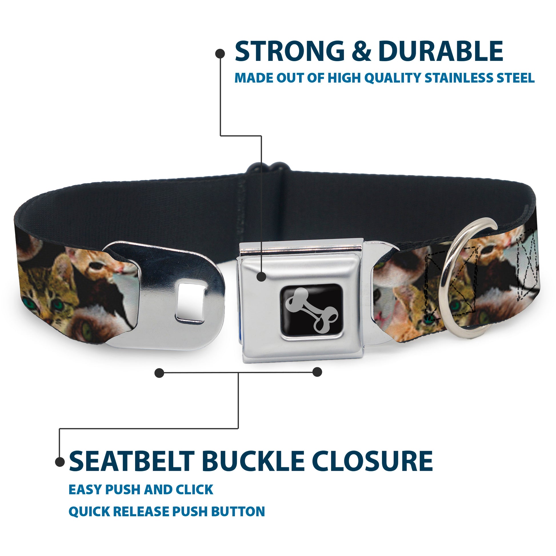 Dog Bone Seatbelt Buckle Collar - Kitten Faces Scattered Black Seatbelt Buckle Collars Buckle-Down