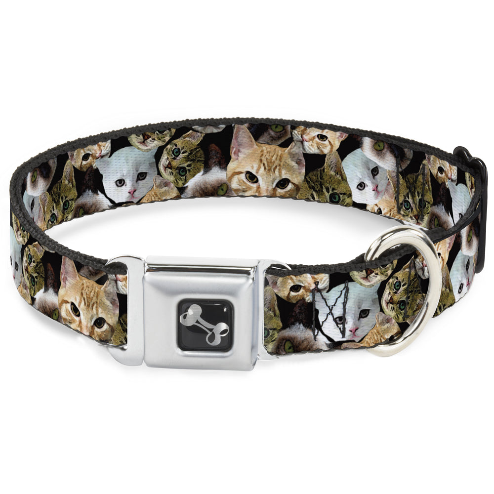 Dog Bone Seatbelt Buckle Collar - Kitten Faces Scattered Black Seatbelt Buckle Collars Buckle-Down