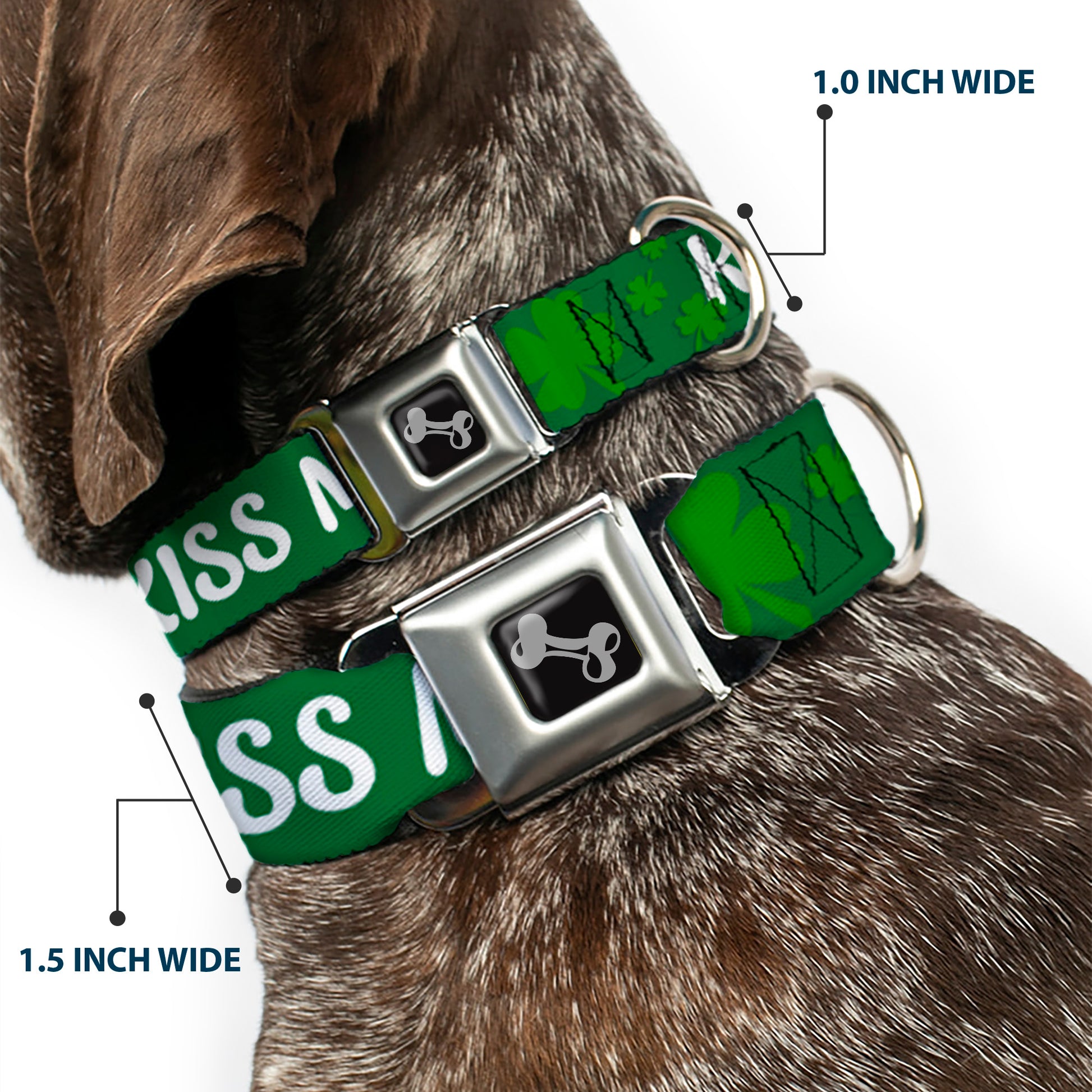 Dog Bone Seatbelt Buckle Collar - KISS ME, I'M IRISH! Clovers Green/White Seatbelt Buckle Collars Buckle-Down