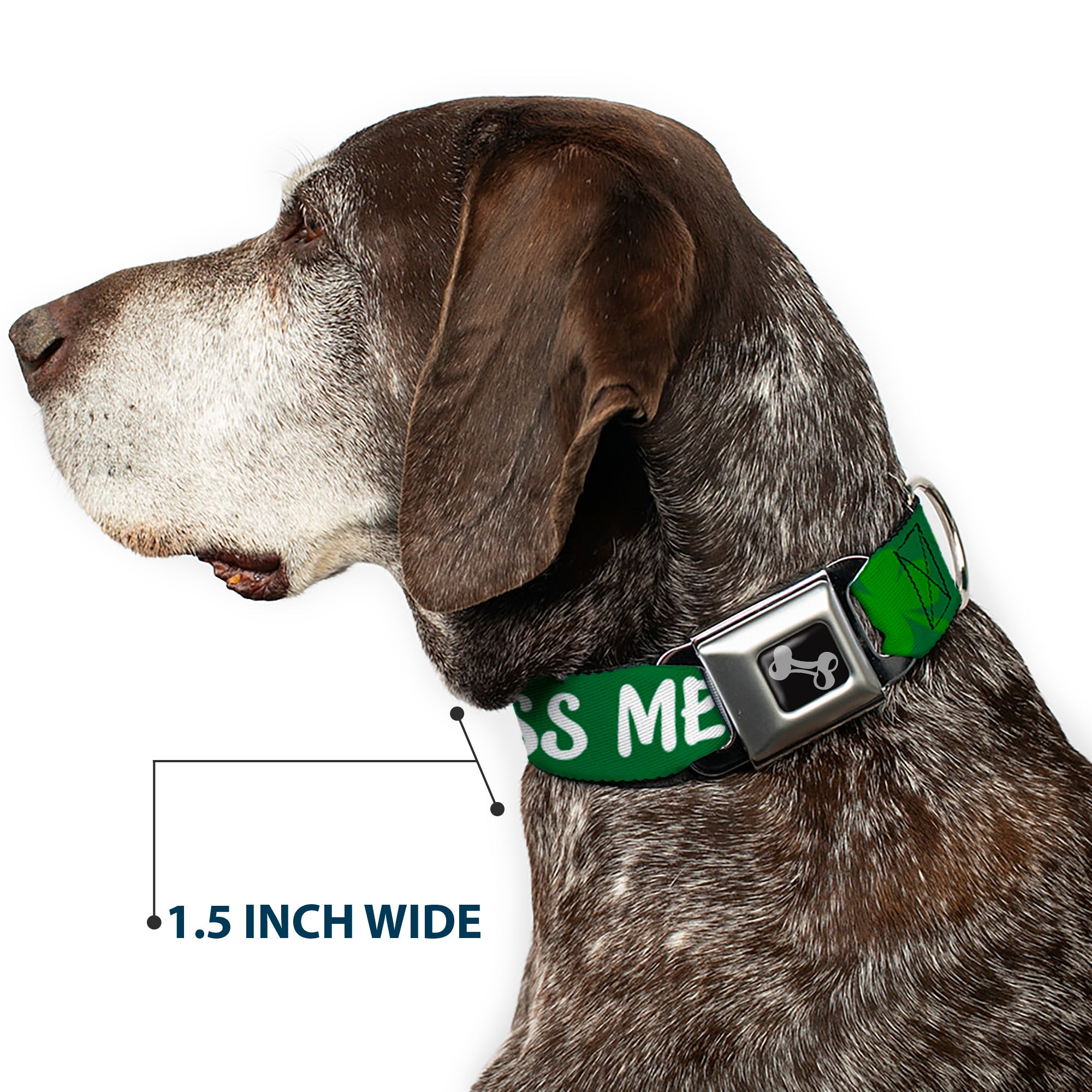 Dog Bone Seatbelt Buckle Collar - KISS ME, I'M IRISH! Clovers Green/White Seatbelt Buckle Collars Buckle-Down