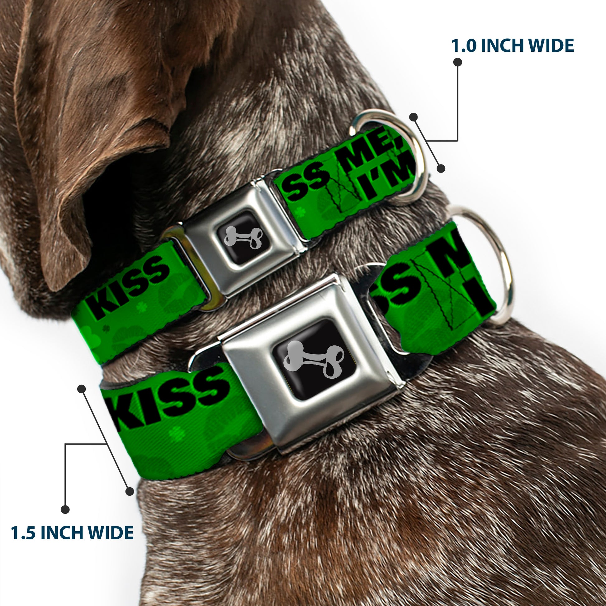 Dog Bone Seatbelt Buckle Collar - KISS ME, I'M IRISH! Clovers/Kisses Greens/Black Seatbelt Buckle Collars Buckle-Down