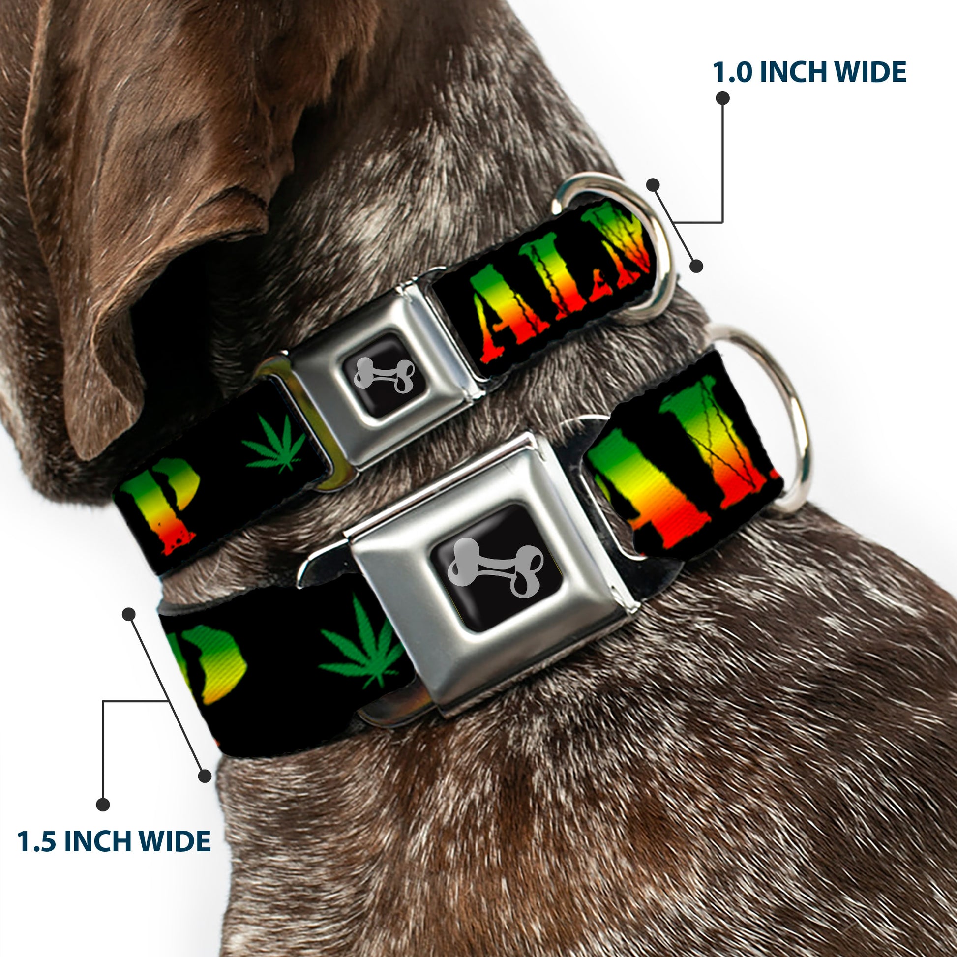 Buckle-Down Seatbelt Buckle Dog Collar - KEEP CALM AND SMOKE UP Black/Rasta Seatbelt Buckle Collars Buckle-Down