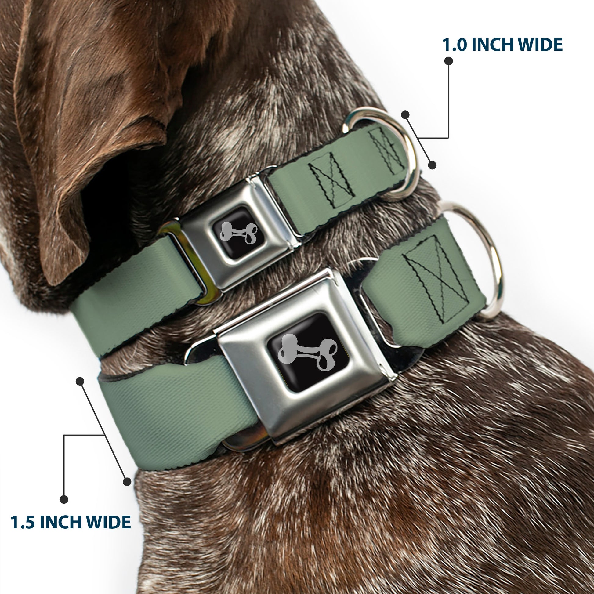 Dog Bone Seatbelt Buckle Collar - Khaki Green Seatbelt Buckle Collars Buckle-Down