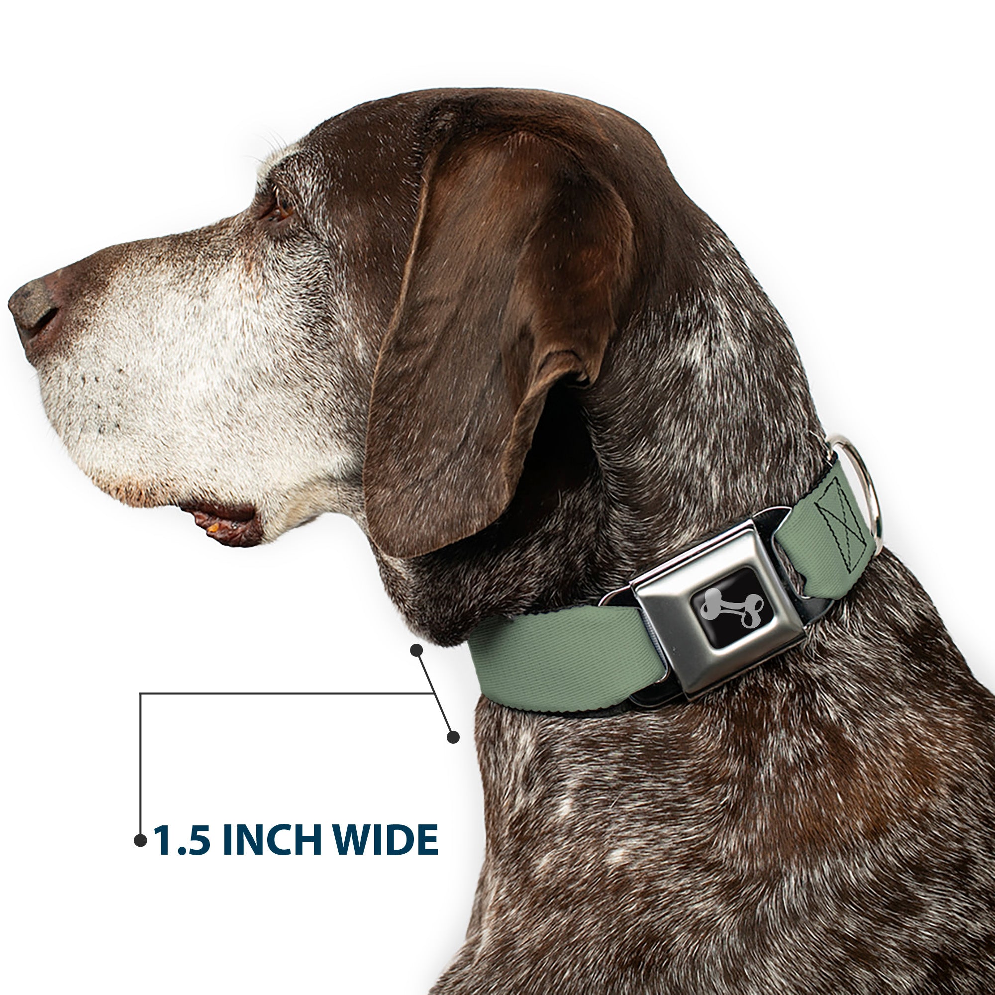 Dog Bone Seatbelt Buckle Collar - Khaki Green Seatbelt Buckle Collars Buckle-Down