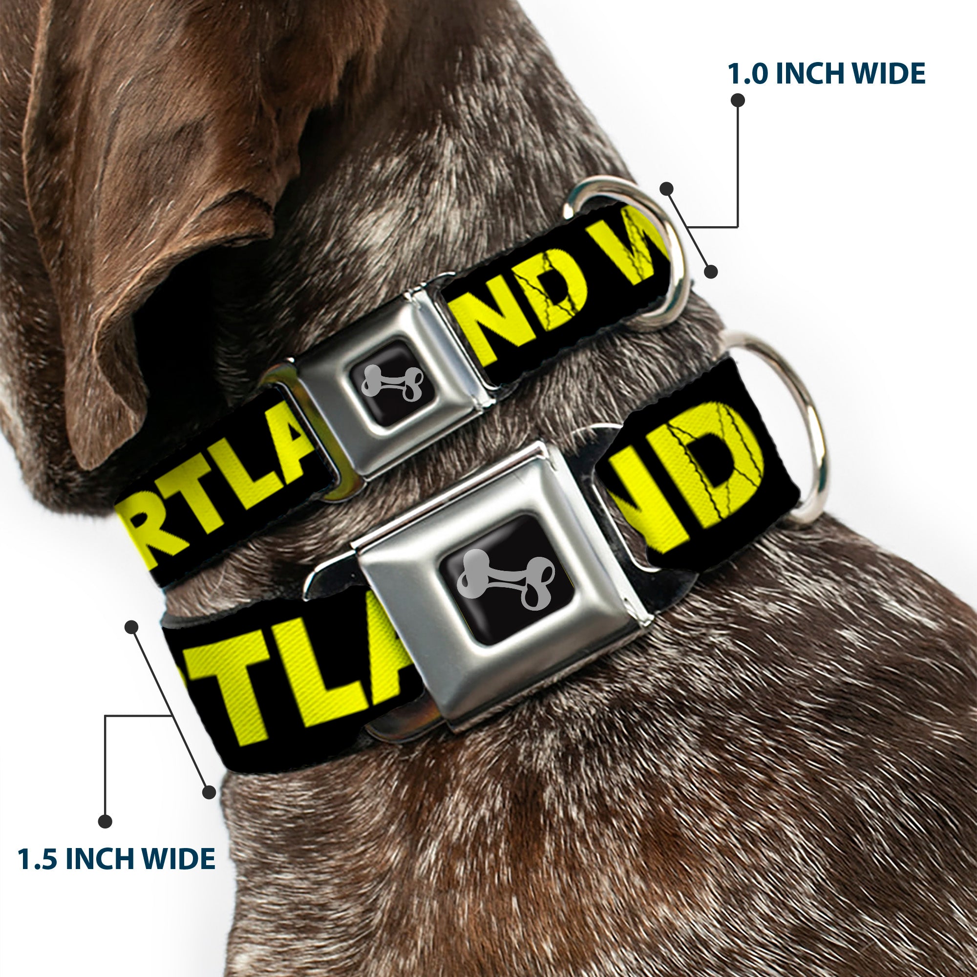 Dog Bone Seatbelt Buckle Collar - KEEP PORTLAND WEIRD Black/Yellow Seatbelt Buckle Collars Buckle-Down