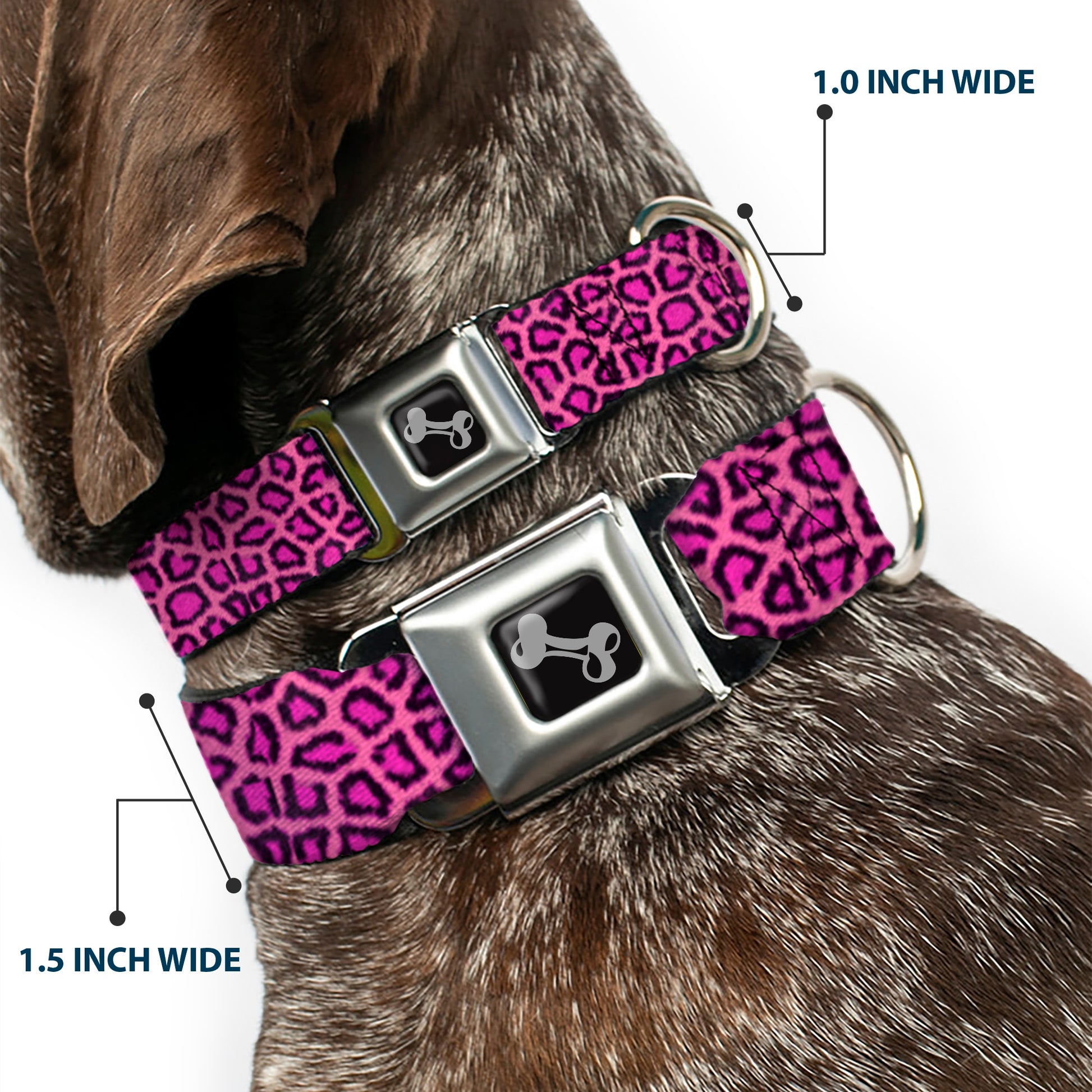 Dog Bone Seatbelt Buckle Collar - Leopard Pink Fuchsia Seatbelt Buckle Collars Buckle-Down