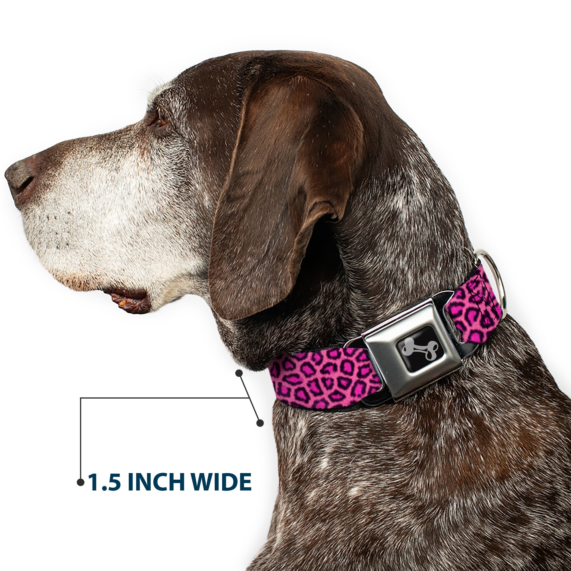 Dog Bone Seatbelt Buckle Collar - Leopard Pink Fuchsia Seatbelt Buckle Collars Buckle-Down