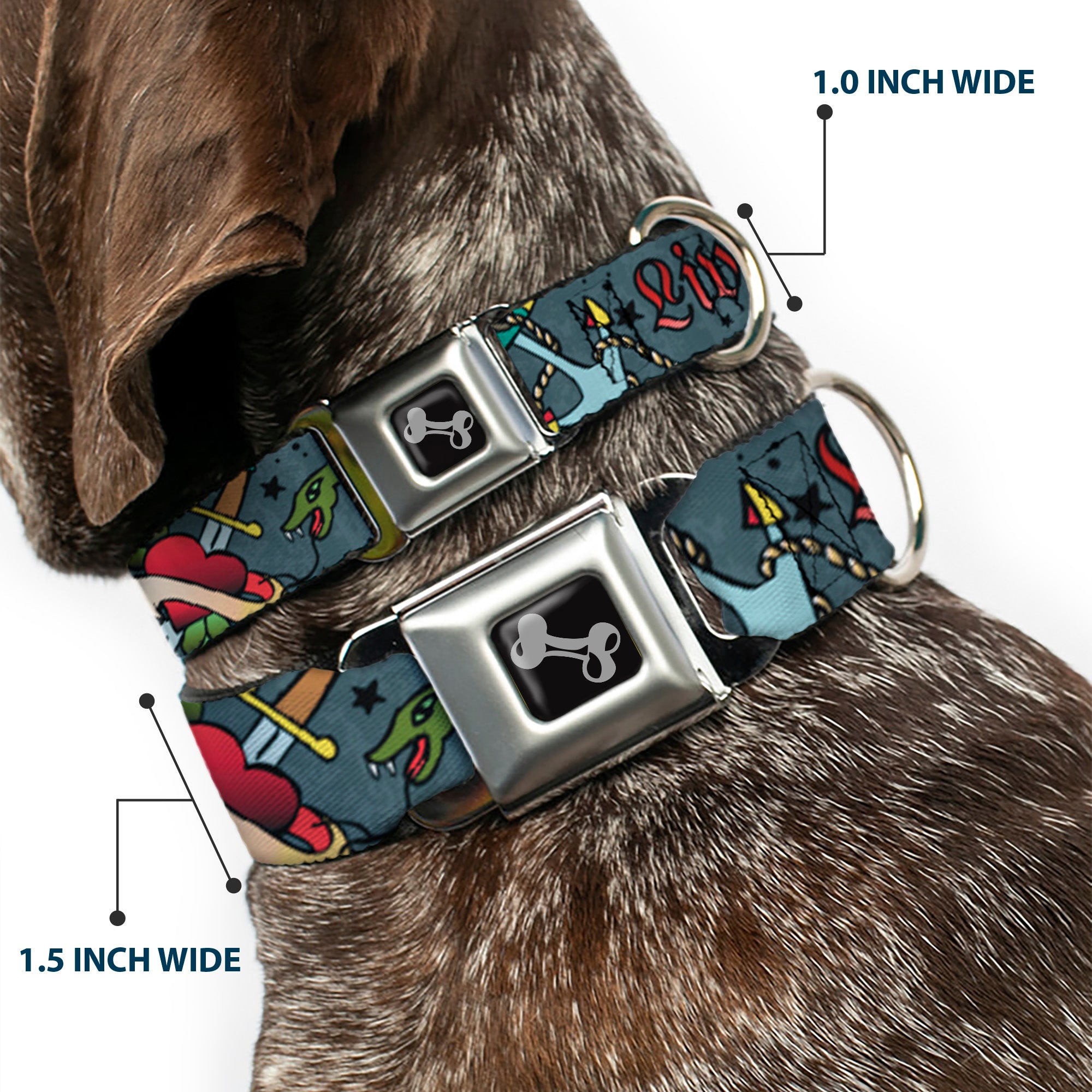 Dog Bone Seatbelt Buckle Collar - Live Hard Die Young Gray Seatbelt Buckle Collars Buckle-Down