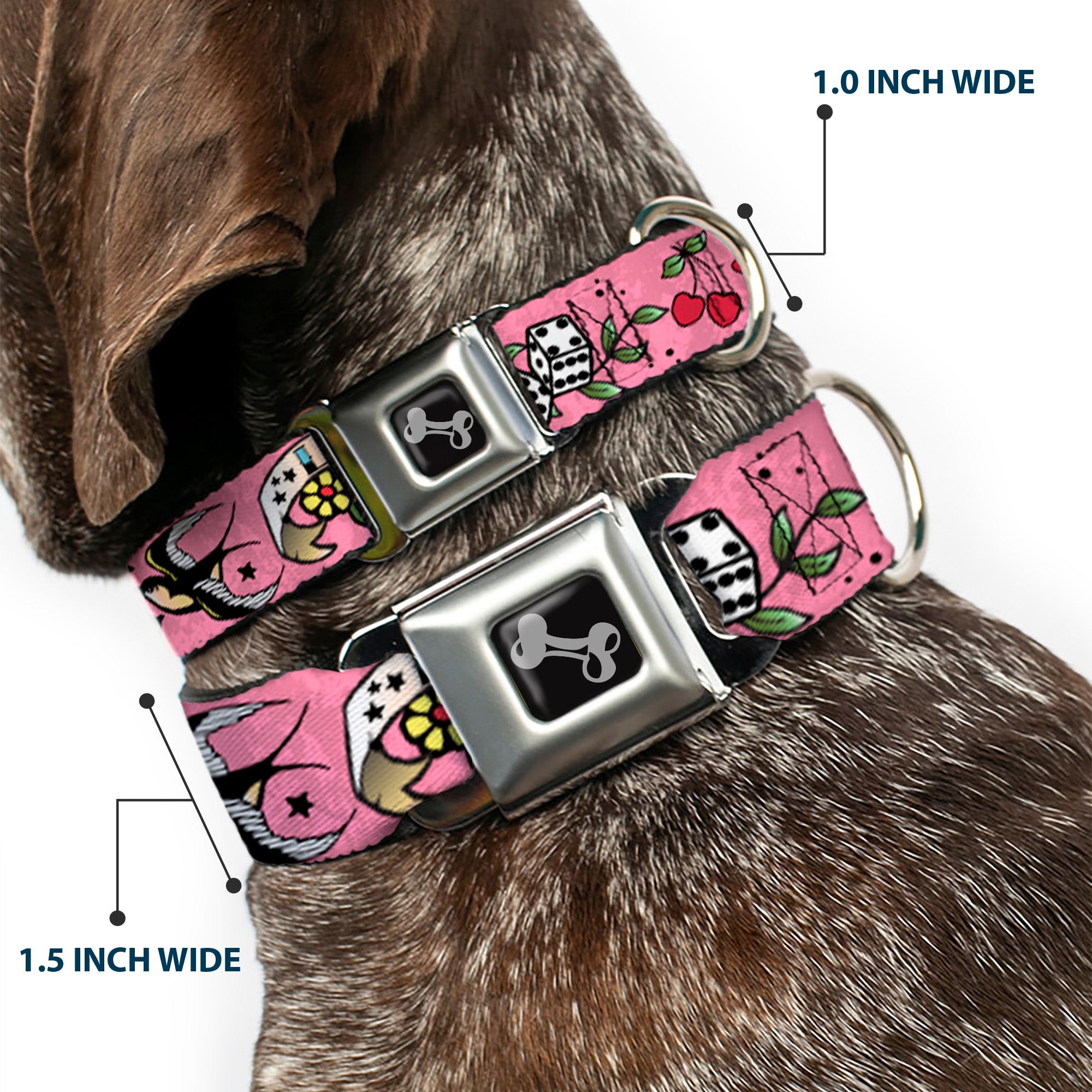 Dog Bone Seatbelt Buckle Collar - Lucky Pink Seatbelt Buckle Collars Buckle-Down