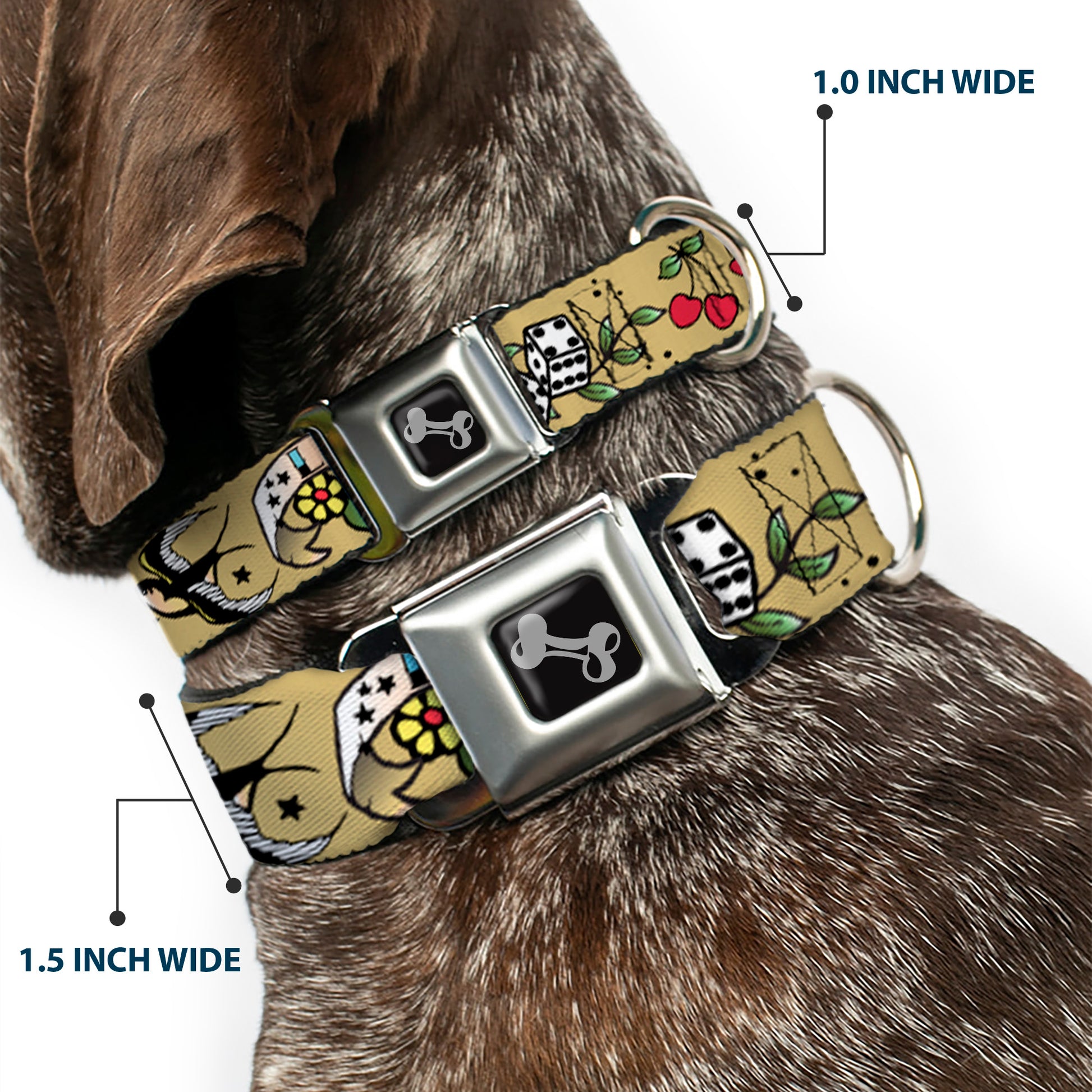 Dog Bone Seatbelt Buckle Collar - Lucky Tan Seatbelt Buckle Collars Buckle-Down