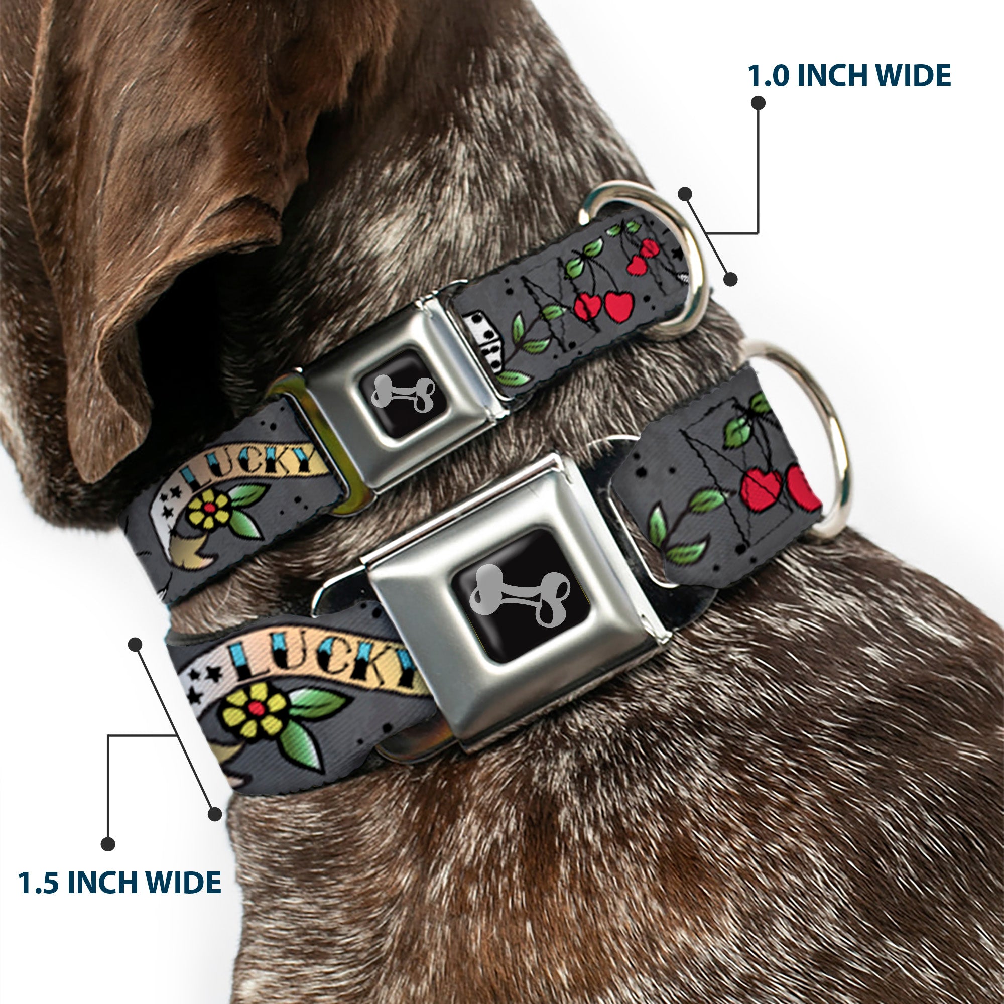 Dog Bone Seatbelt Buckle Collar - Lucky Gray Seatbelt Buckle Collars Buckle-Down