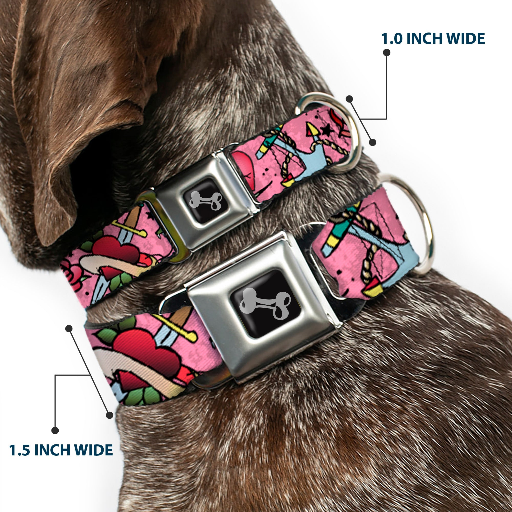 Dog Bone Seatbelt Buckle Collar - Live Hard Die Young Pink Seatbelt Buckle Collars Buckle-Down