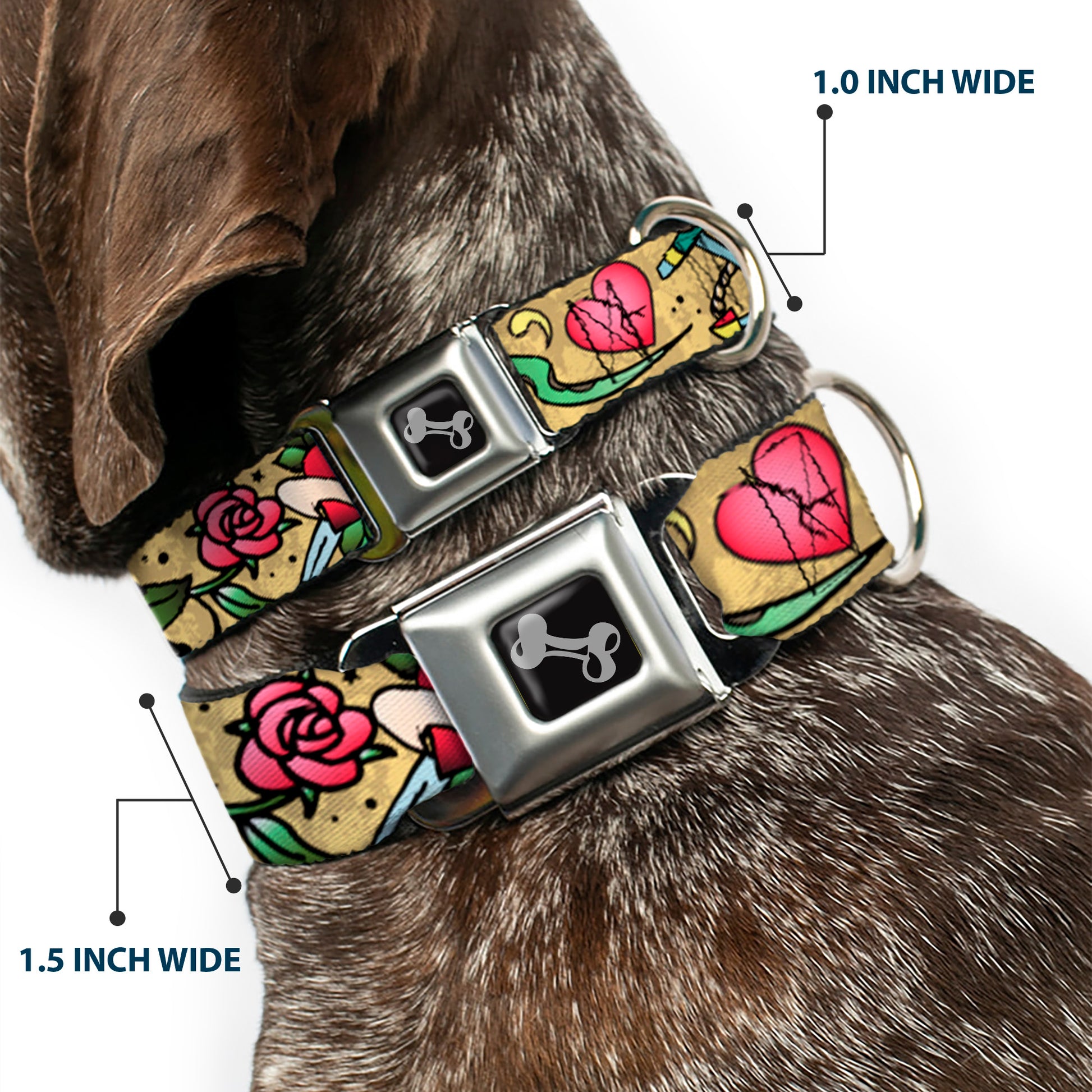 Dog Bone Seatbelt Buckle Collar - Live Hard Die Young Tan Seatbelt Buckle Collars Buckle-Down