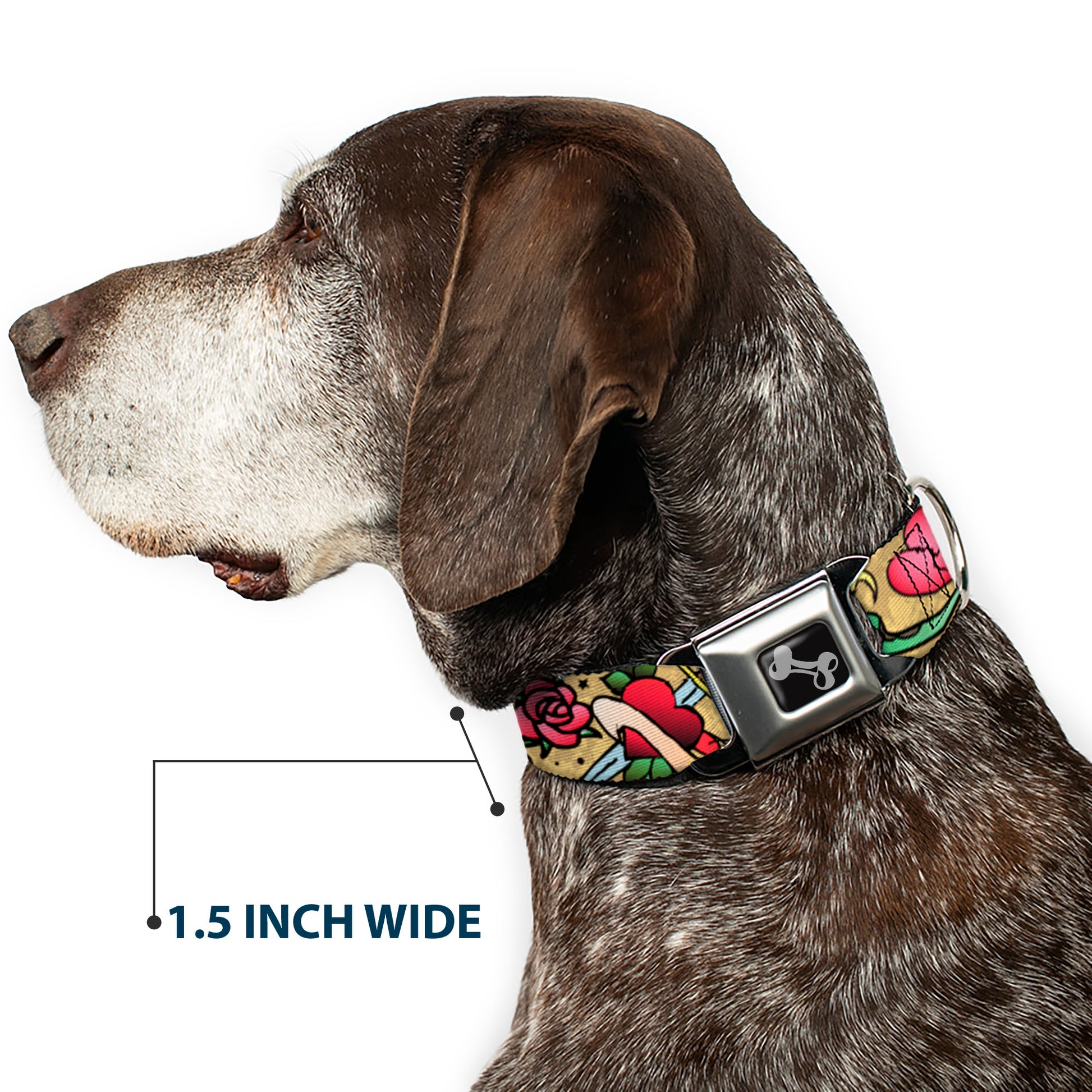 Dog Bone Seatbelt Buckle Collar - Live Hard Die Young Tan Seatbelt Buckle Collars Buckle-Down
