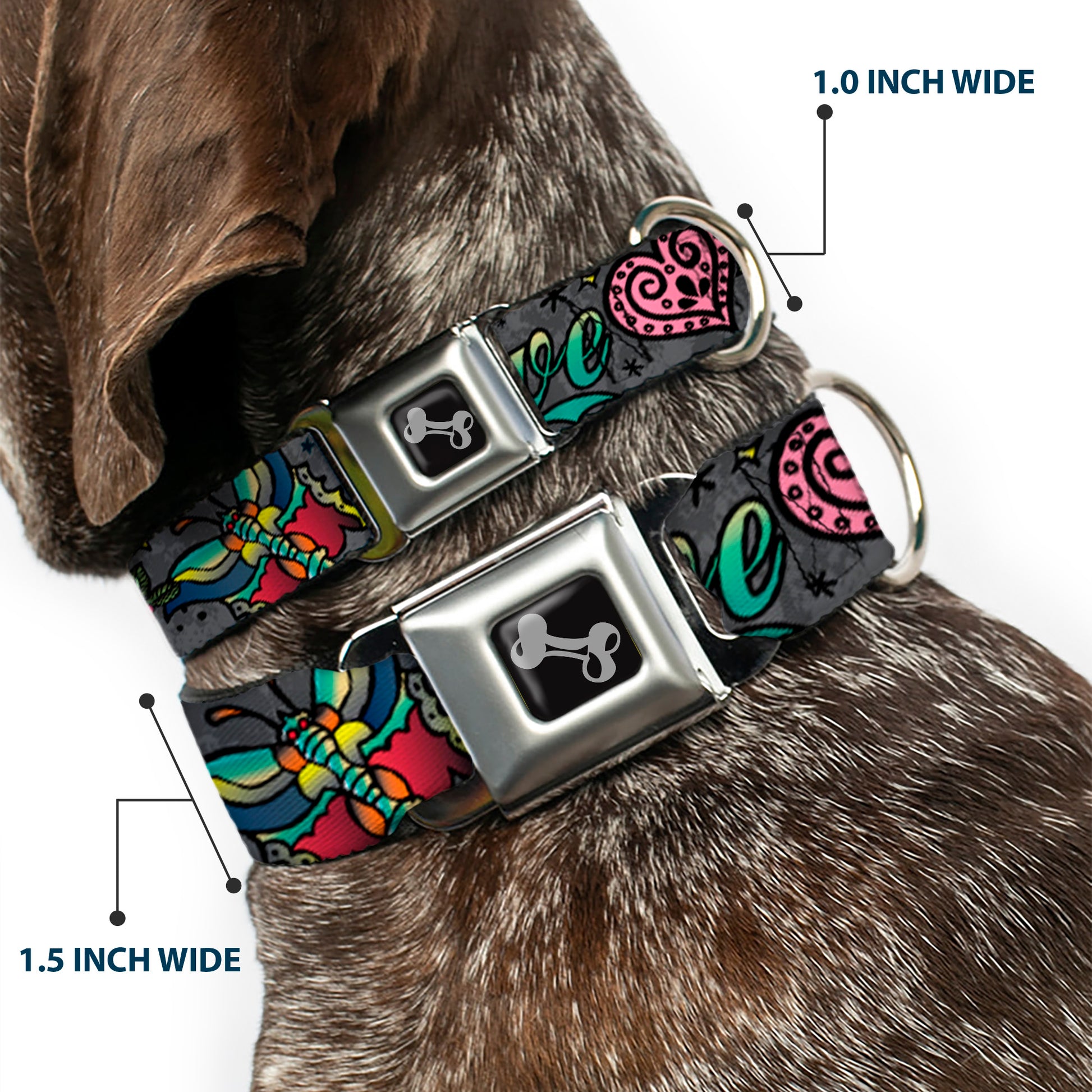 Dog Bone Seatbelt Buckle Collar - Love Kills Gray Seatbelt Buckle Collars Buckle-Down