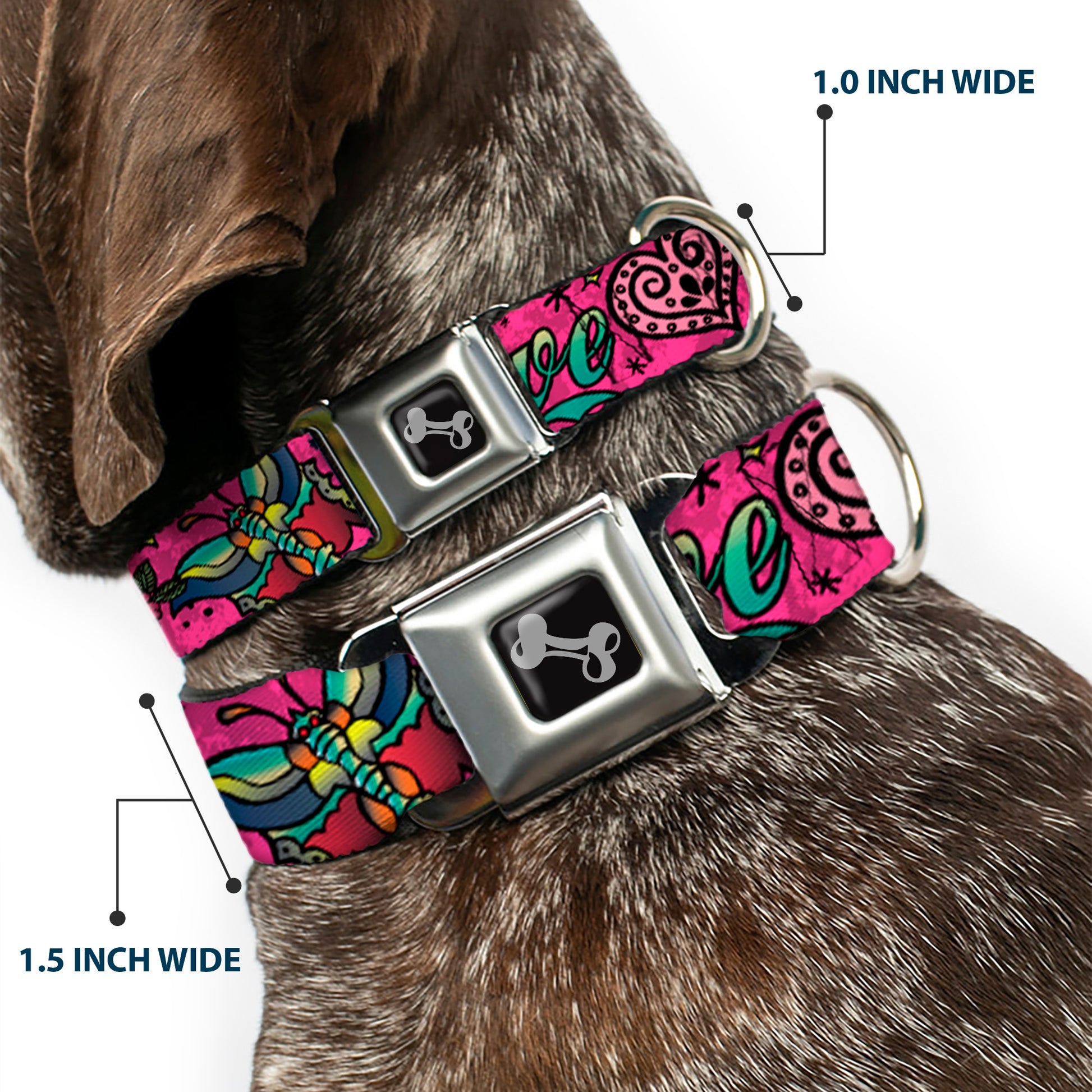 Dog Bone Seatbelt Buckle Collar - Love Kills Pink Seatbelt Buckle Collars Buckle-Down