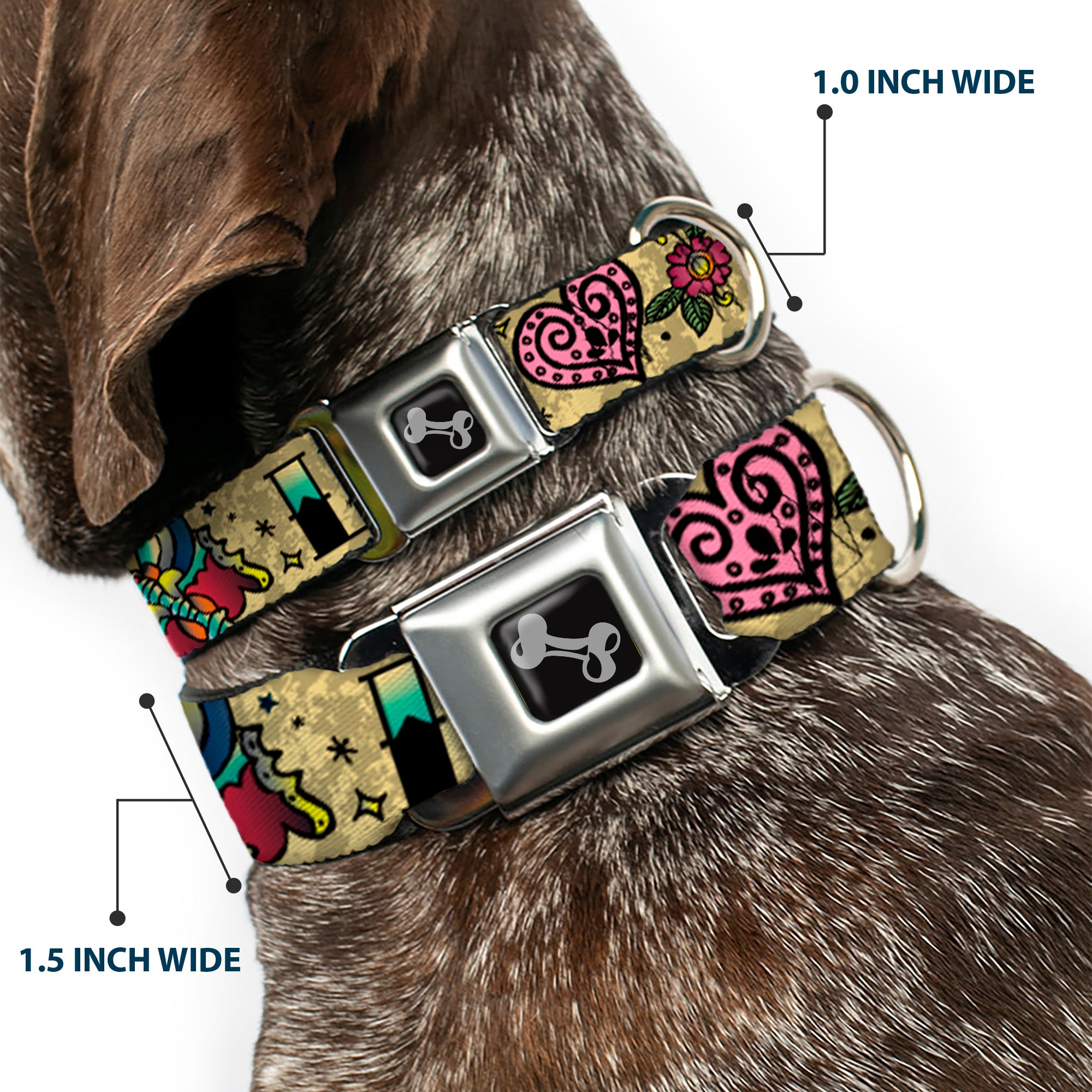 Dog Bone Seatbelt Buckle Collar - Love Kills Tan Seatbelt Buckle Collars Buckle-Down