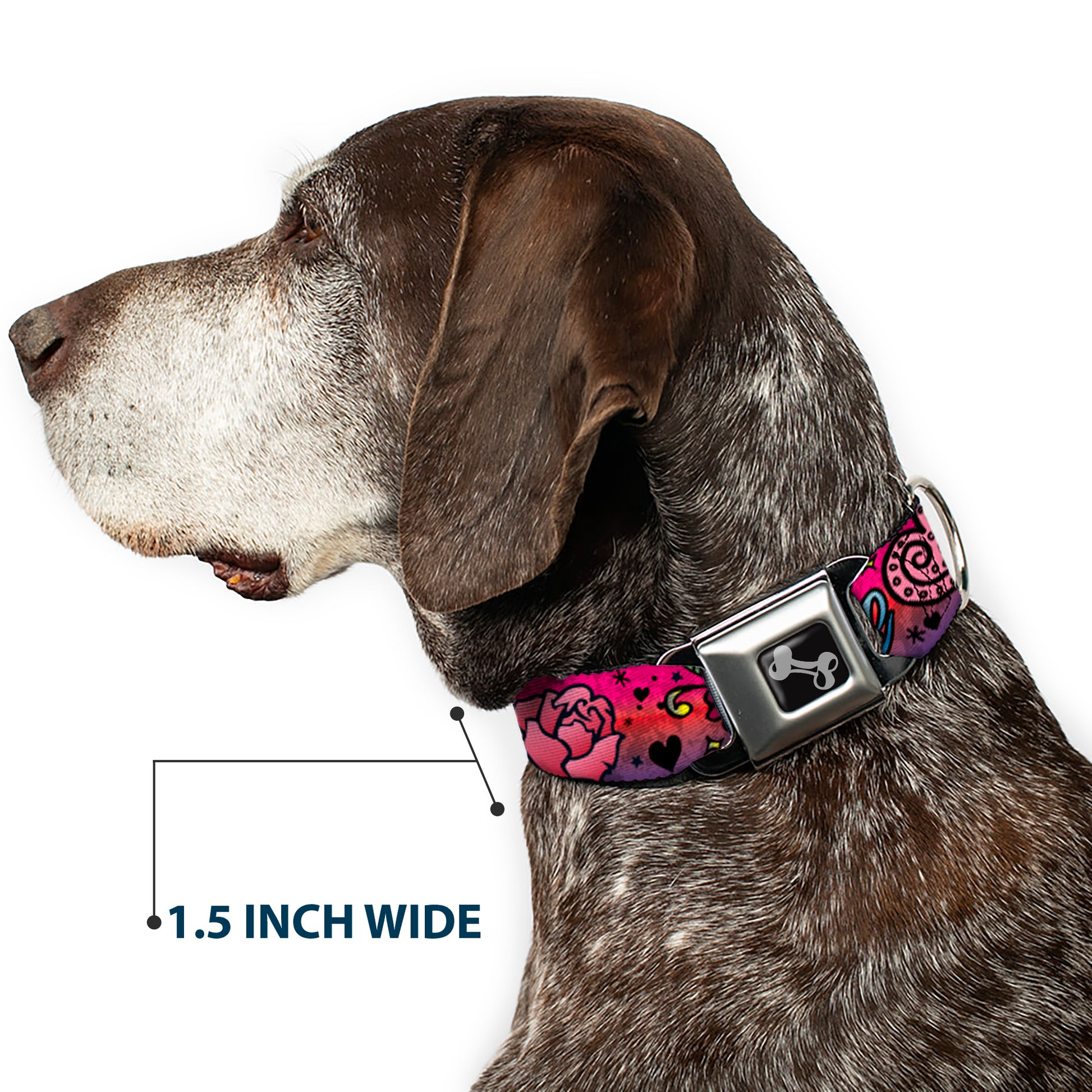 Dog Bone Seatbelt Buckle Collar - Love Love Pink Seatbelt Buckle Collars Buckle-Down