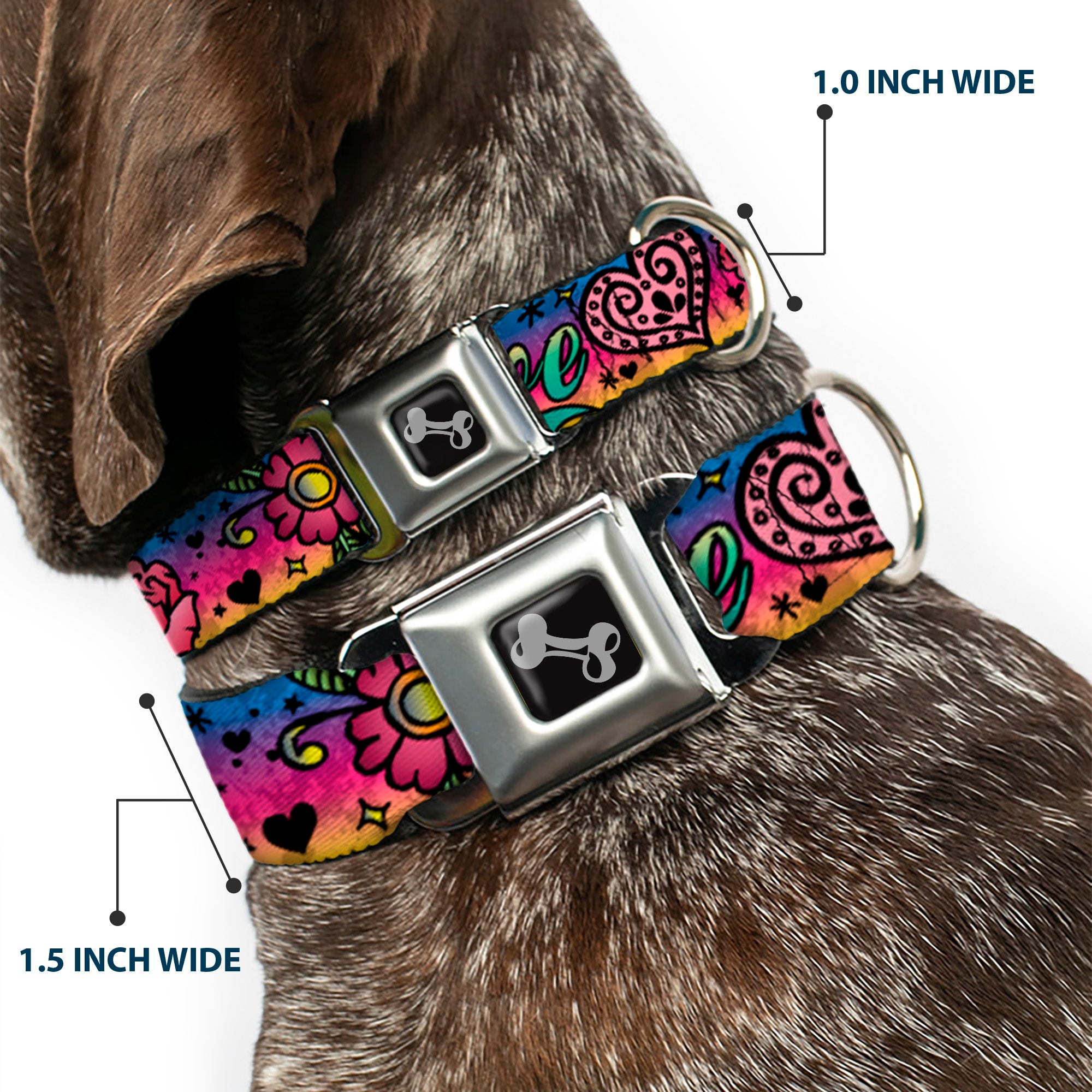 Dog Bone Seatbelt Buckle Collar - Love Love Purple Seatbelt Buckle Collars Buckle-Down
