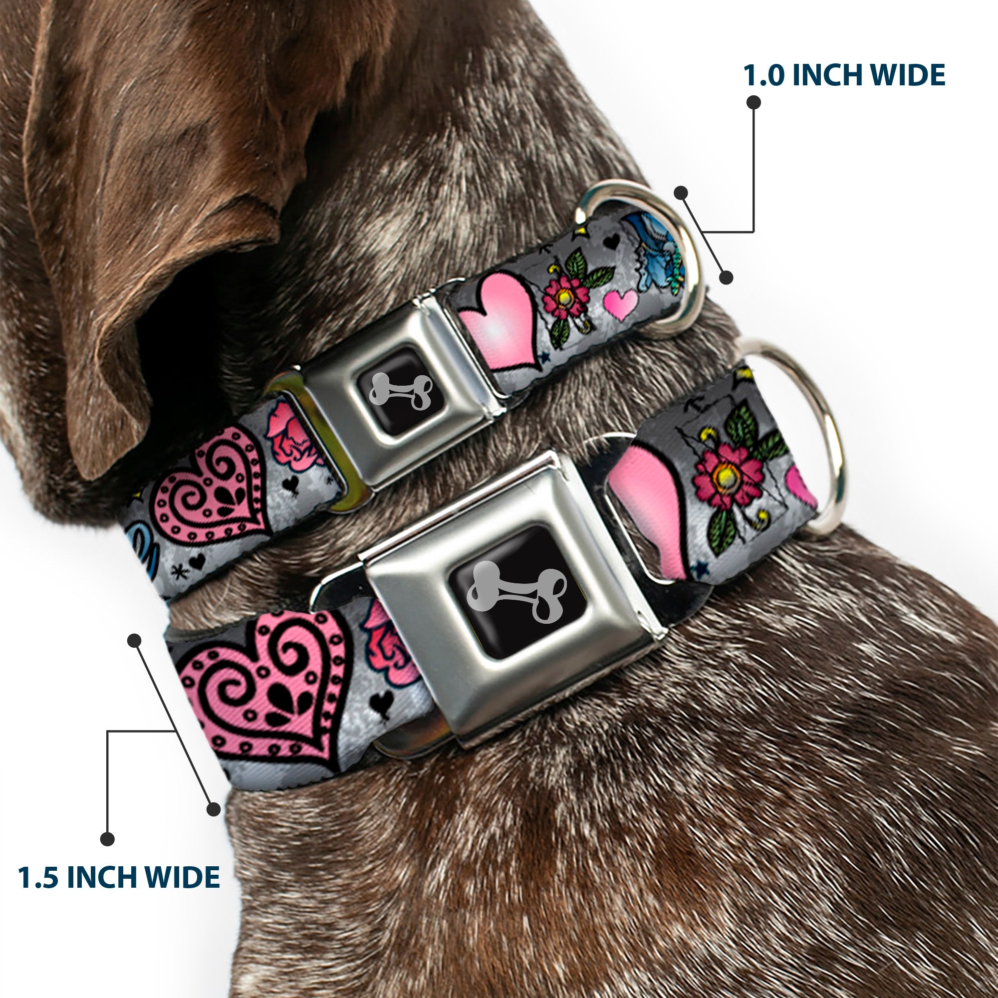 Dog Bone Seatbelt Buckle Collar - Love Love Gray Seatbelt Buckle Collars Buckle-Down