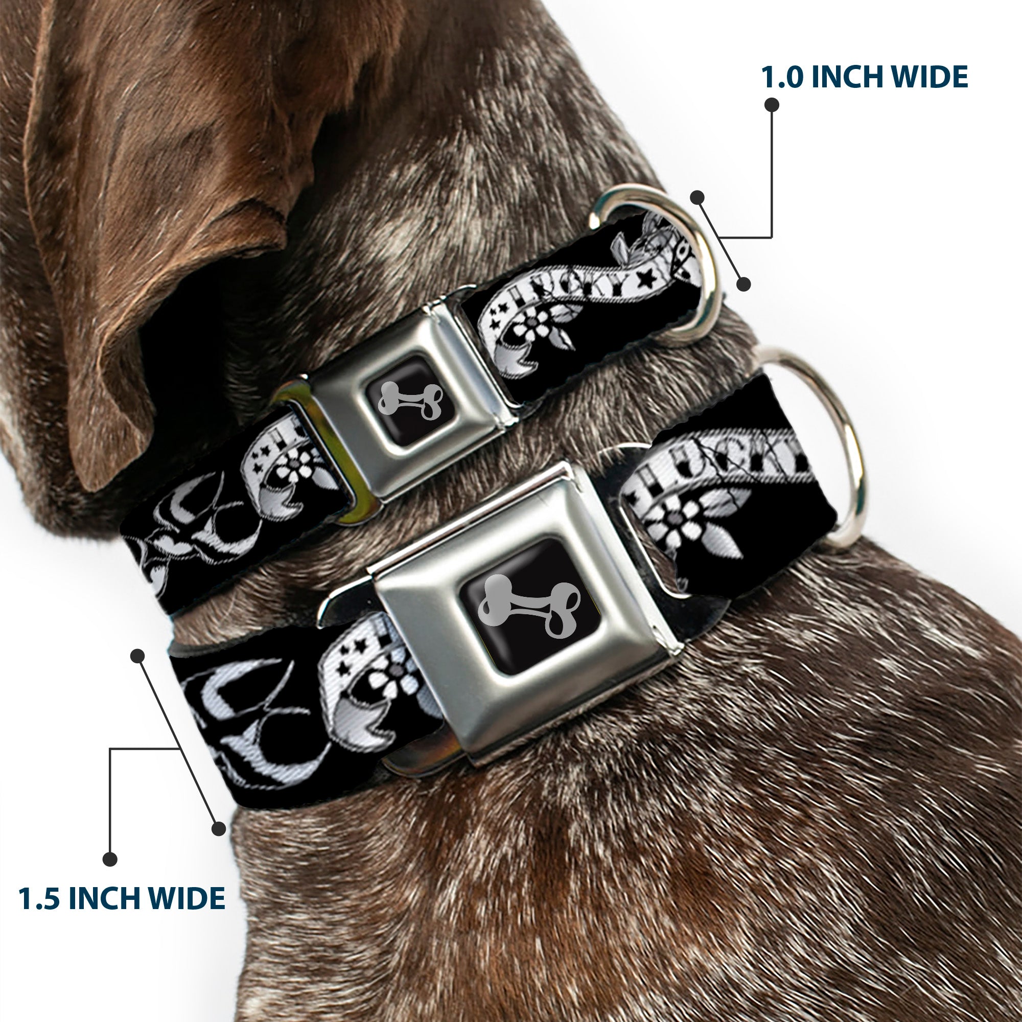 Dog Bone Seatbelt Buckle Collar - Lucky Black/White Seatbelt Buckle Collars Buckle-Down