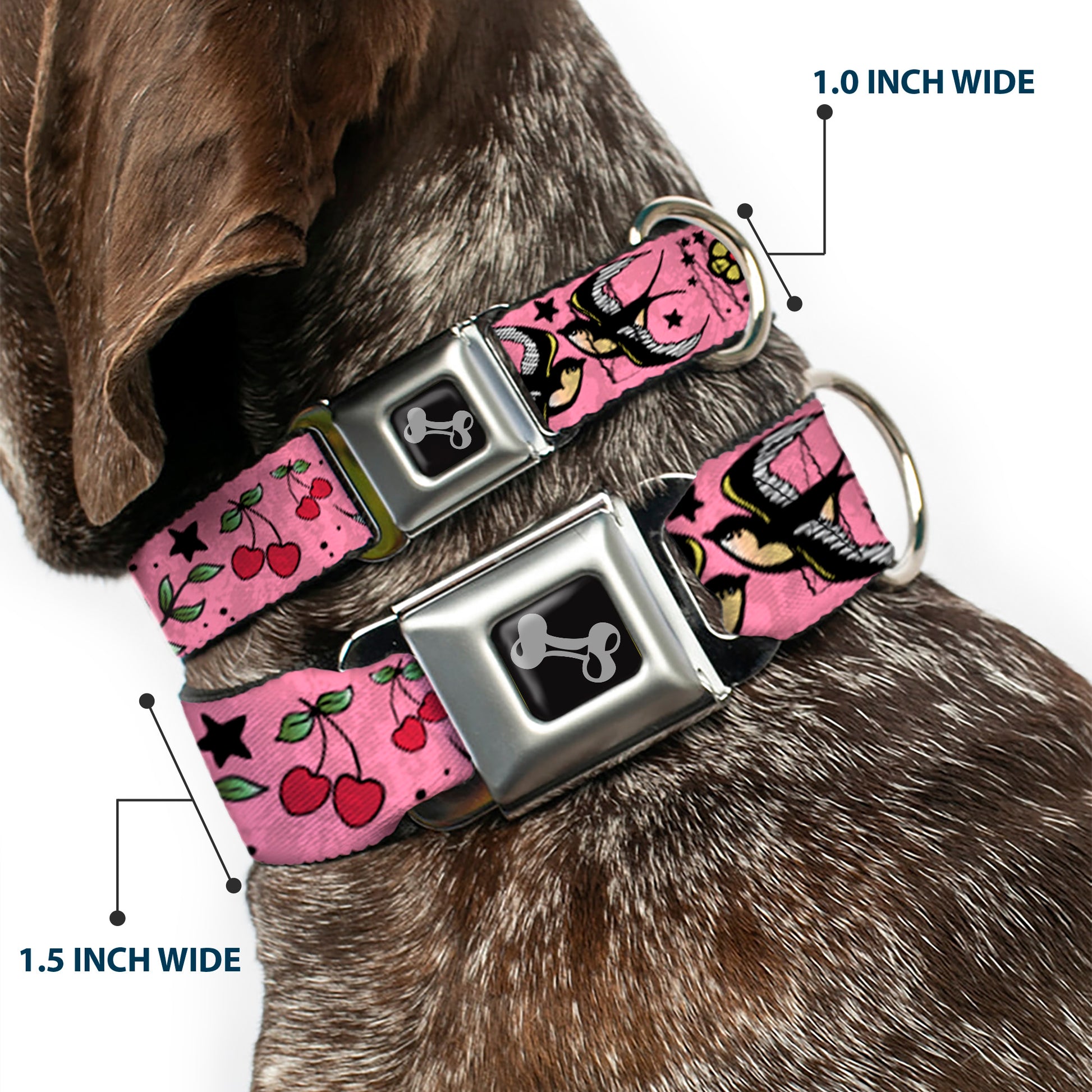 Dog Bone Seatbelt Buckle Collar - Lucky CLOSE-UP Pink Seatbelt Buckle Collars Buckle-Down