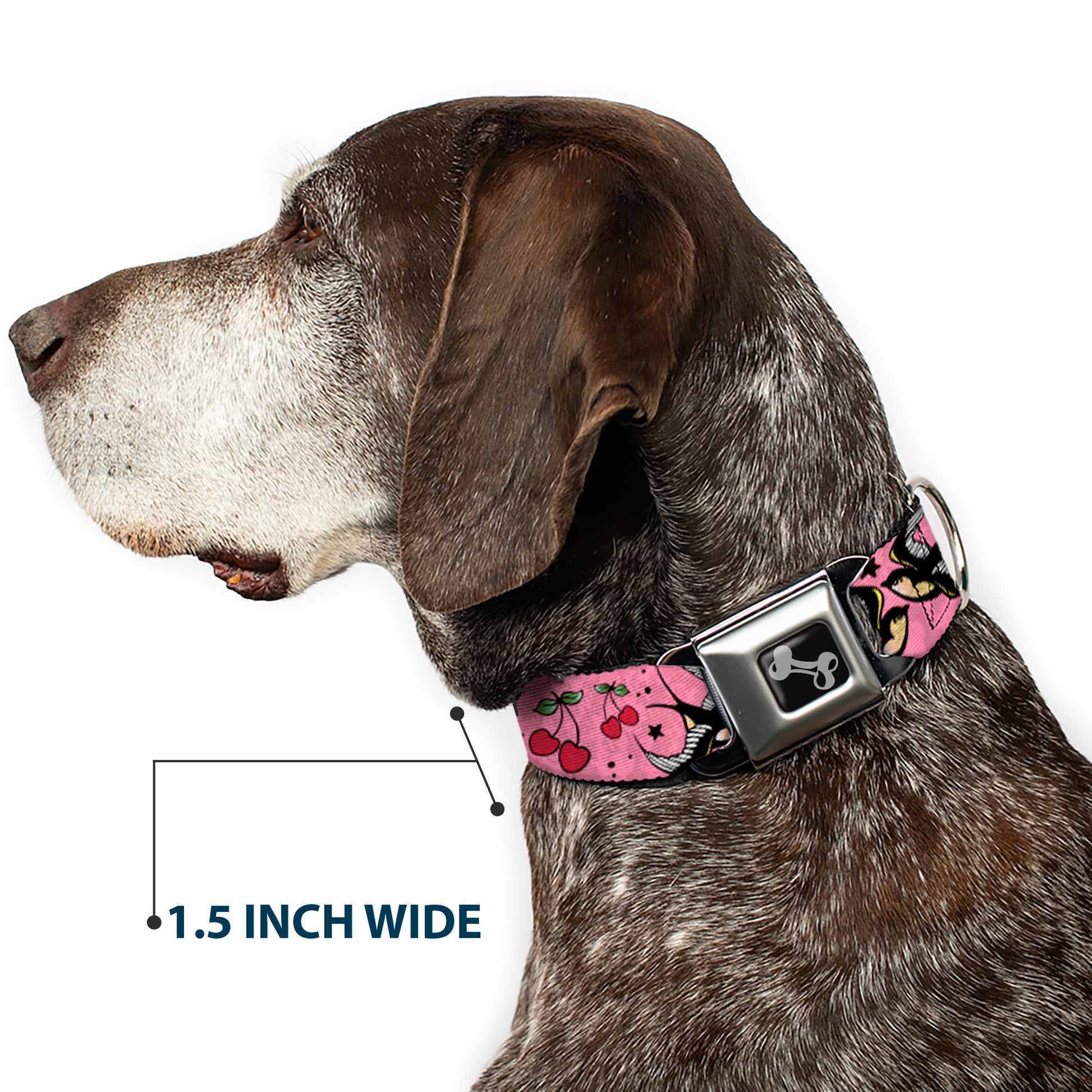 Dog Bone Seatbelt Buckle Collar - Lucky CLOSE-UP Pink Seatbelt Buckle Collars Buckle-Down