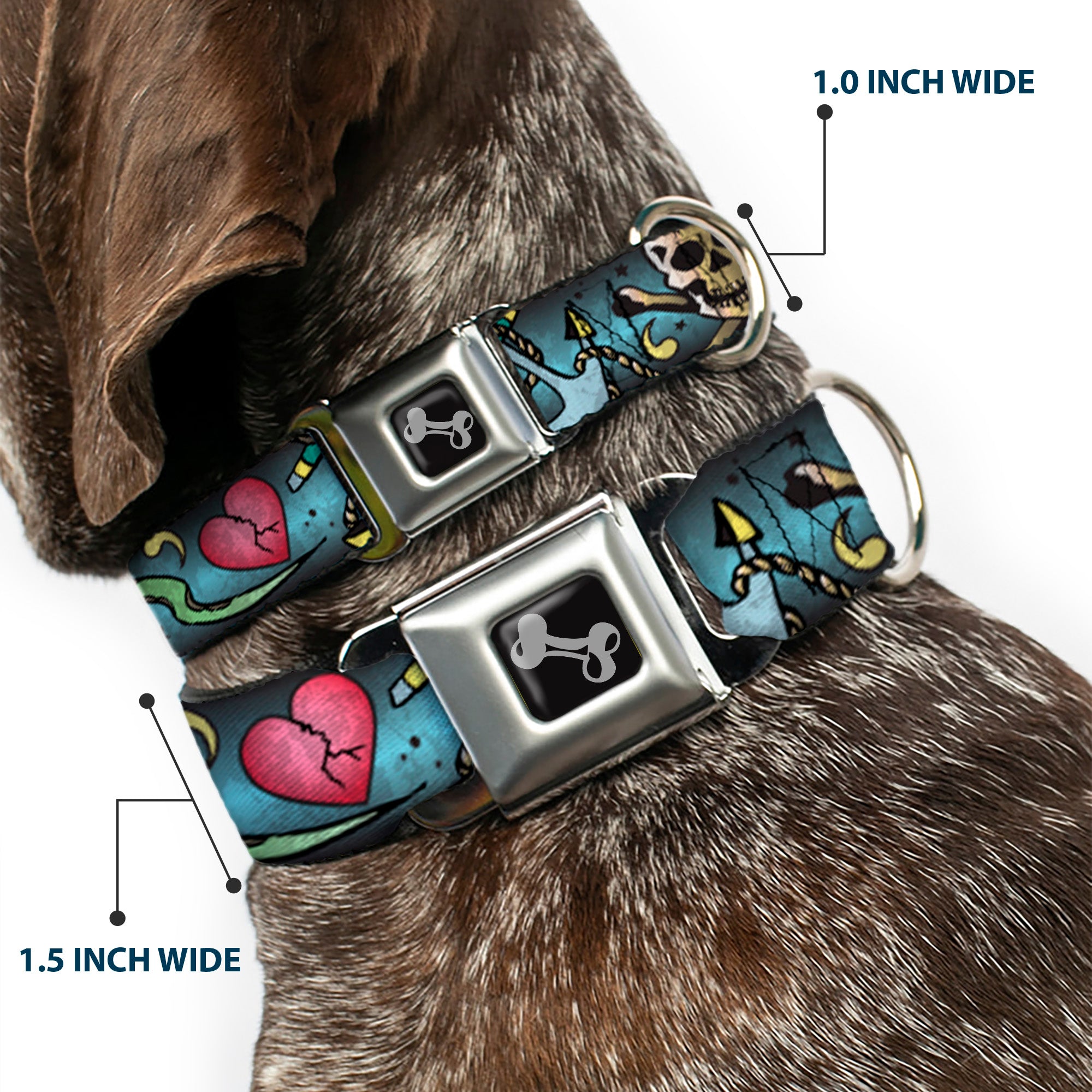 Dog Bone Seatbelt Buckle Collar - Live Hard Die Young CLOSE-UP Turquoise Seatbelt Buckle Collars Buckle-Down