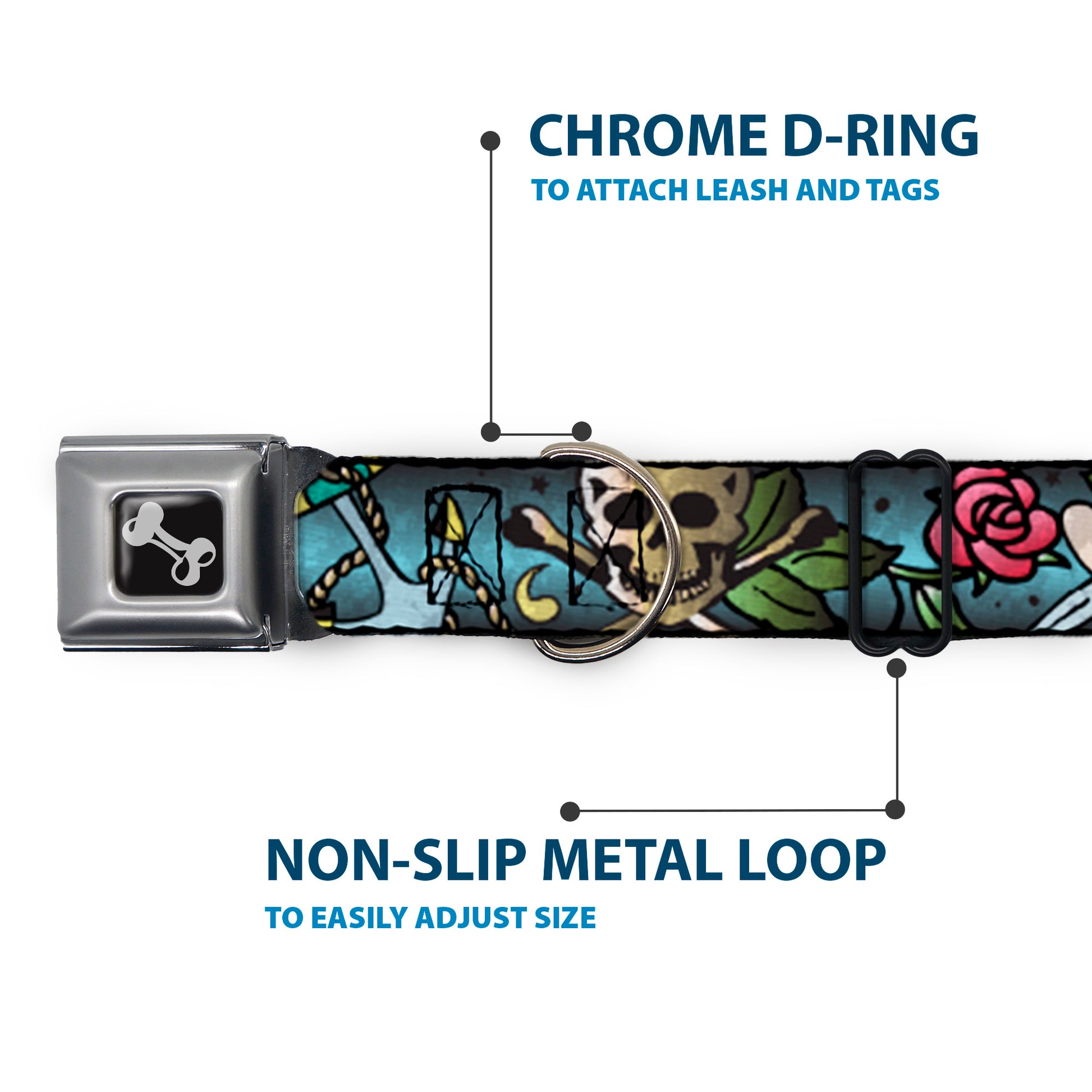 Dog Bone Seatbelt Buckle Collar - Live Hard Die Young CLOSE-UP Turquoise Seatbelt Buckle Collars Buckle-Down