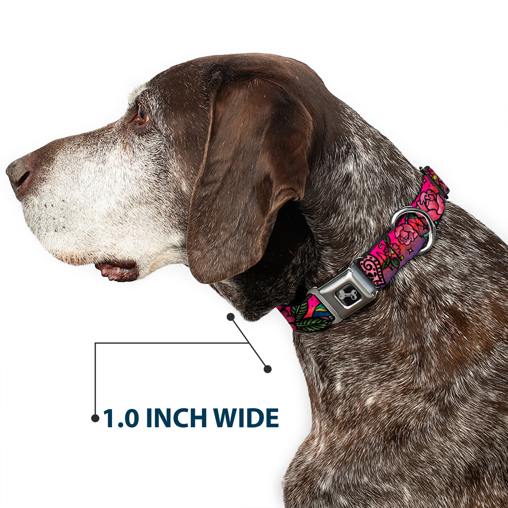 Dog Bone Seatbelt Buckle Collar - Love Kills CLOSE-UP Pink Seatbelt Buckle Collars Buckle-Down