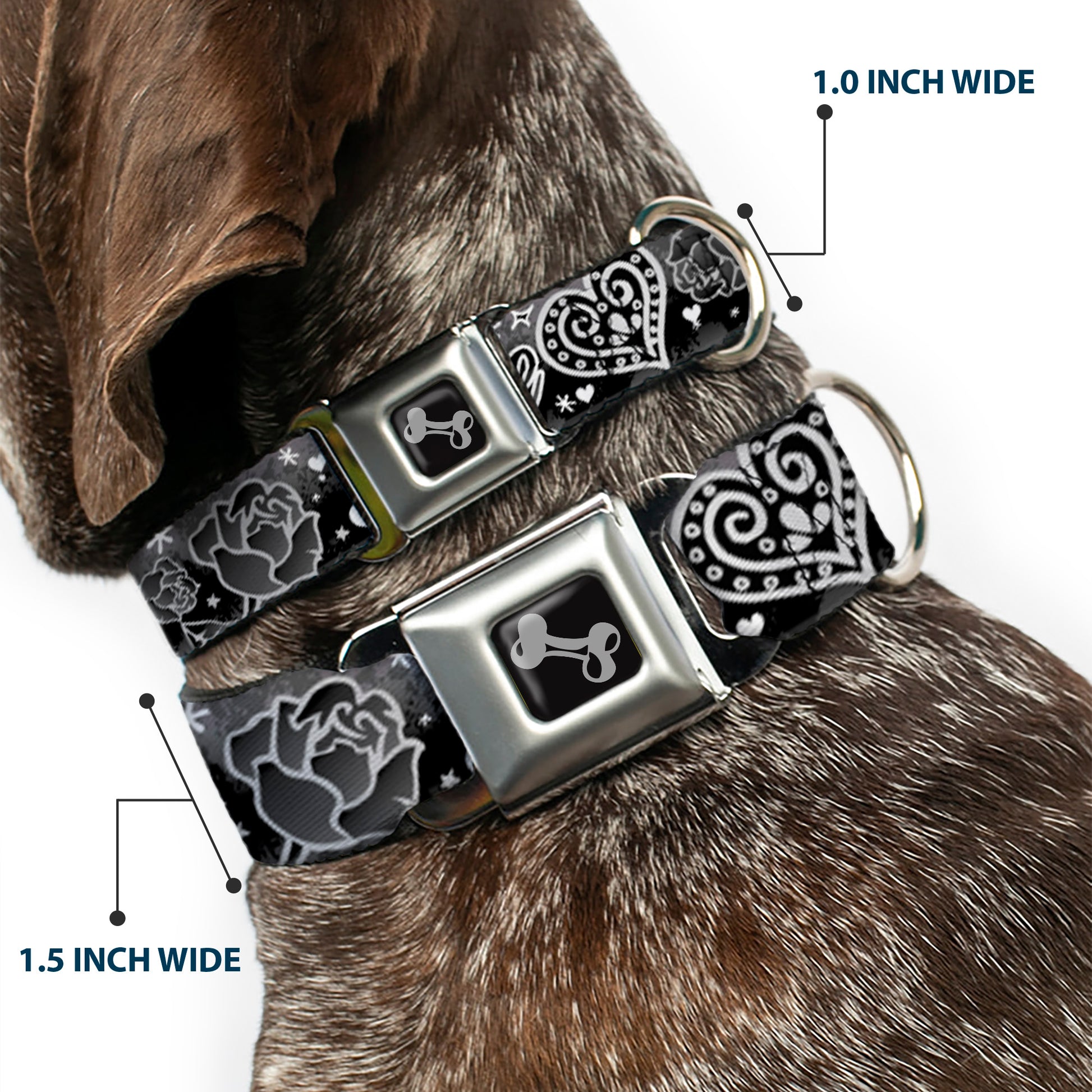 Dog Bone Seatbelt Buckle Collar - Love Love Black/White Seatbelt Buckle Collars Buckle-Down