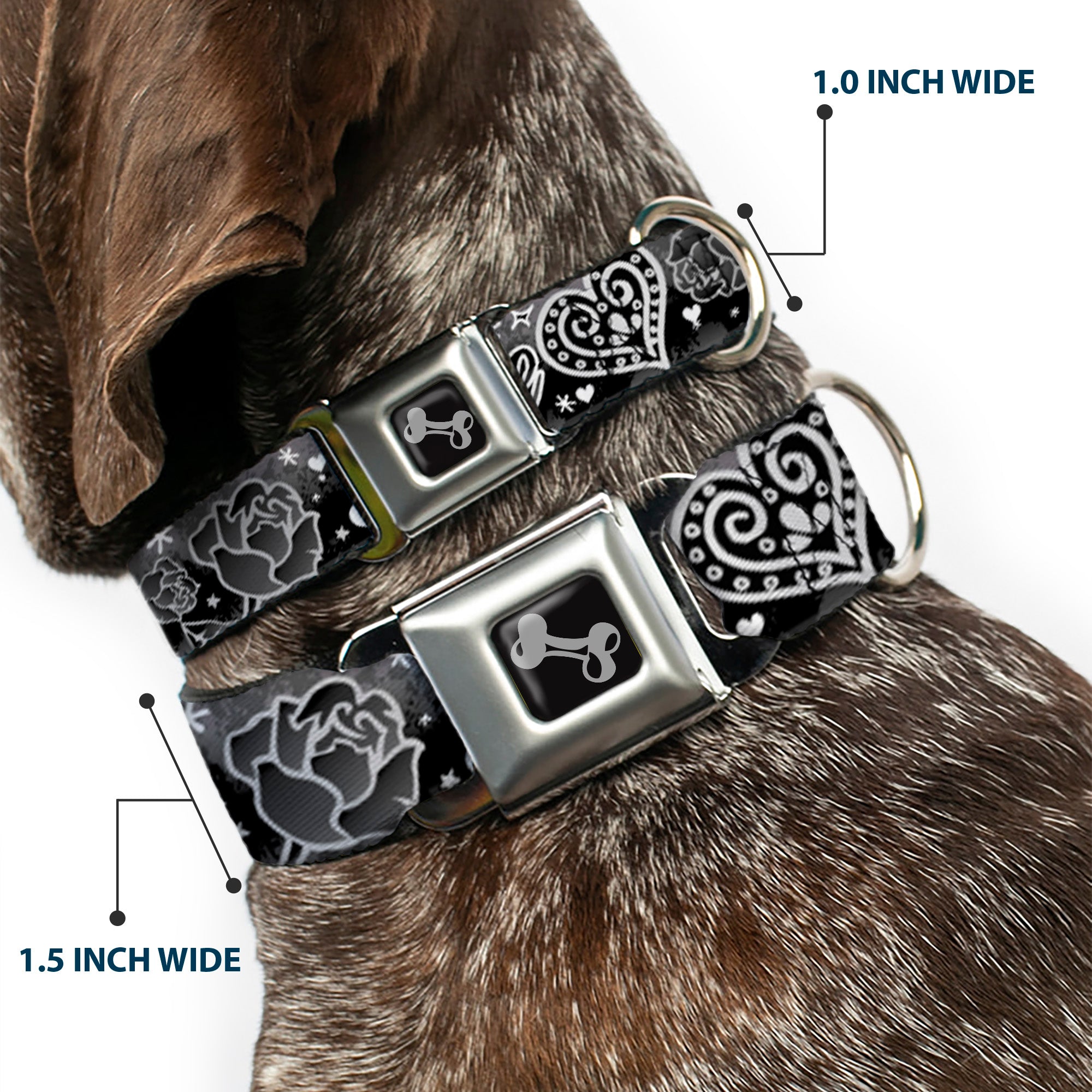 Dog Bone Seatbelt Buckle Collar - Love Love Black/White Seatbelt Buckle Collars Buckle-Down