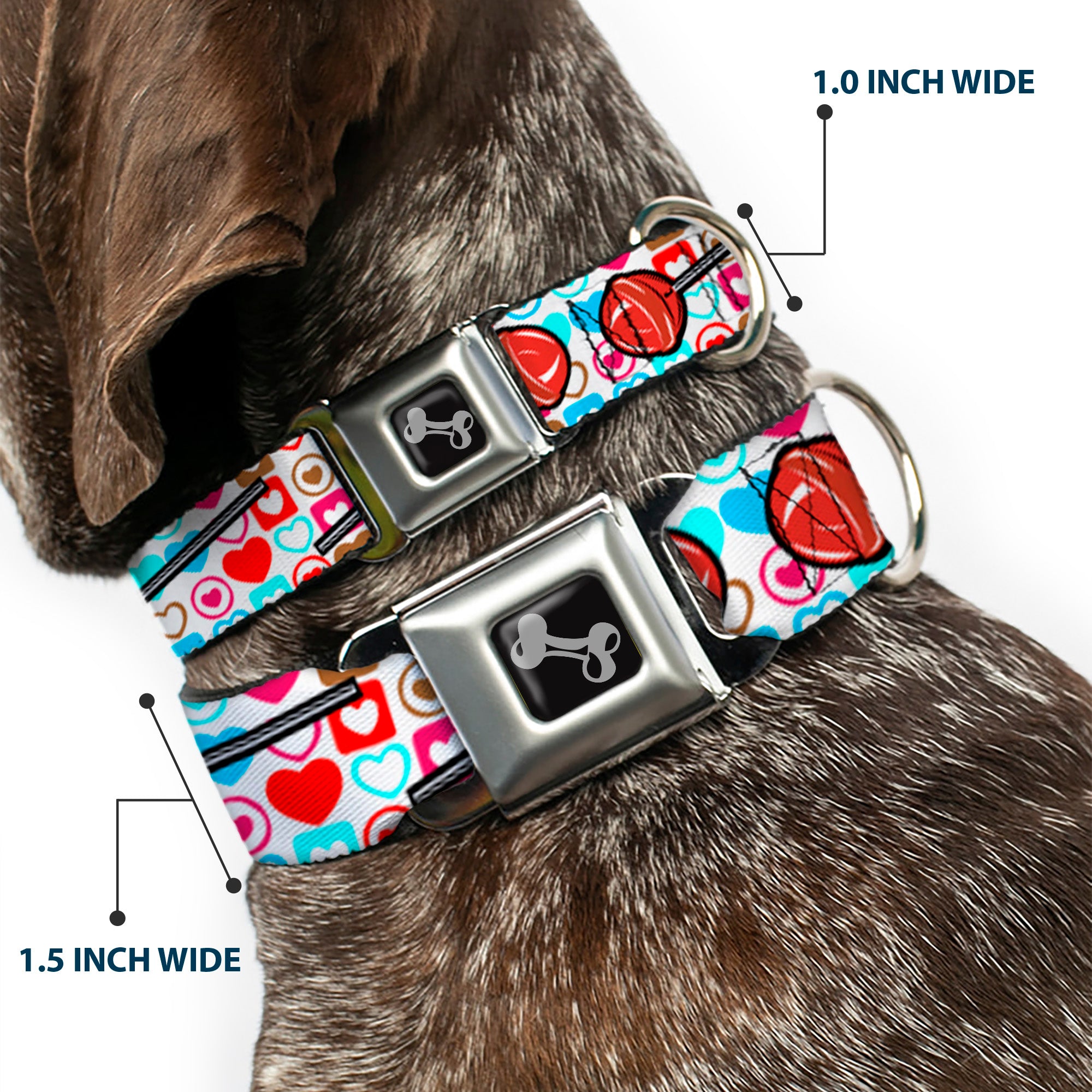 Dog Bone Seatbelt Buckle Collar - Lollipop Hearts White Seatbelt Buckle Collars Buckle-Down