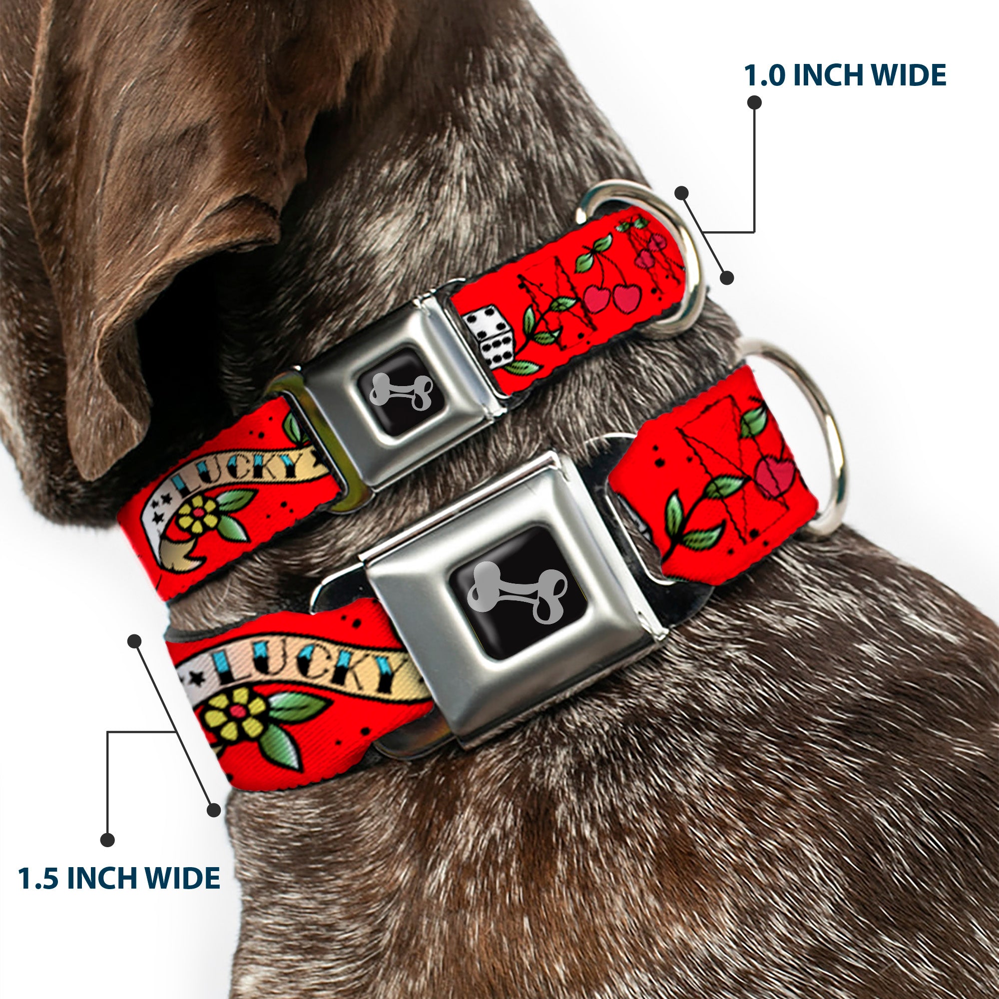 Dog Bone Seatbelt Buckle Collar - Lucky Red Seatbelt Buckle Collars Buckle-Down
