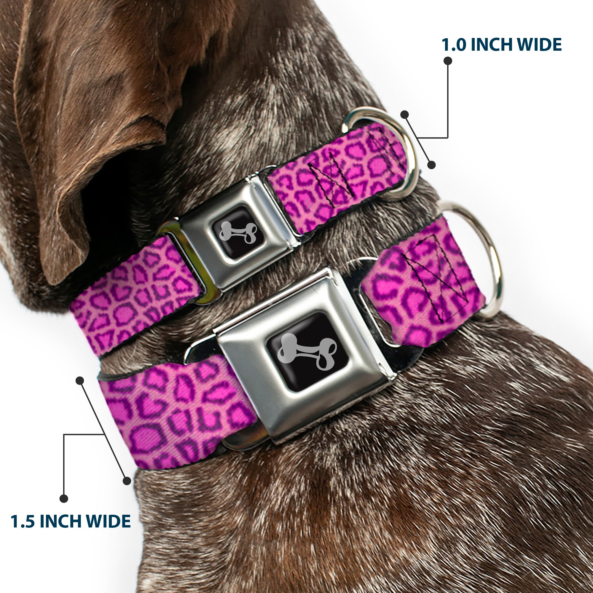 Dog Bone Seatbelt Buckle Collar - Leopard Baby Pink Seatbelt Buckle Collars Buckle-Down
