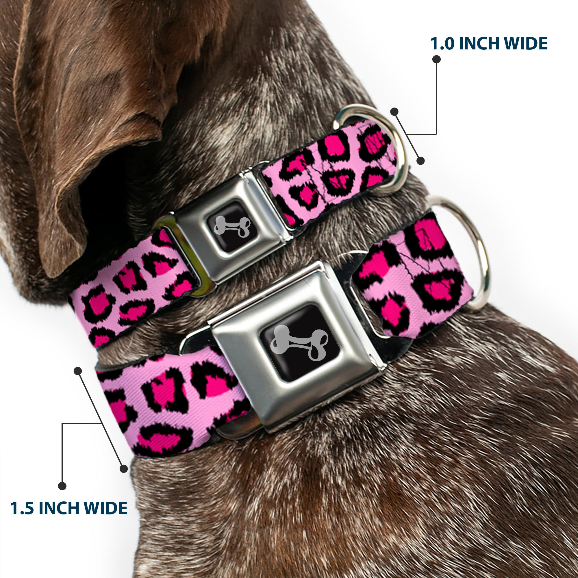Dog Bone Seatbelt Buckle Collar - Leopard CLOSE-UP Pink Seatbelt Buckle Collars Buckle-Down