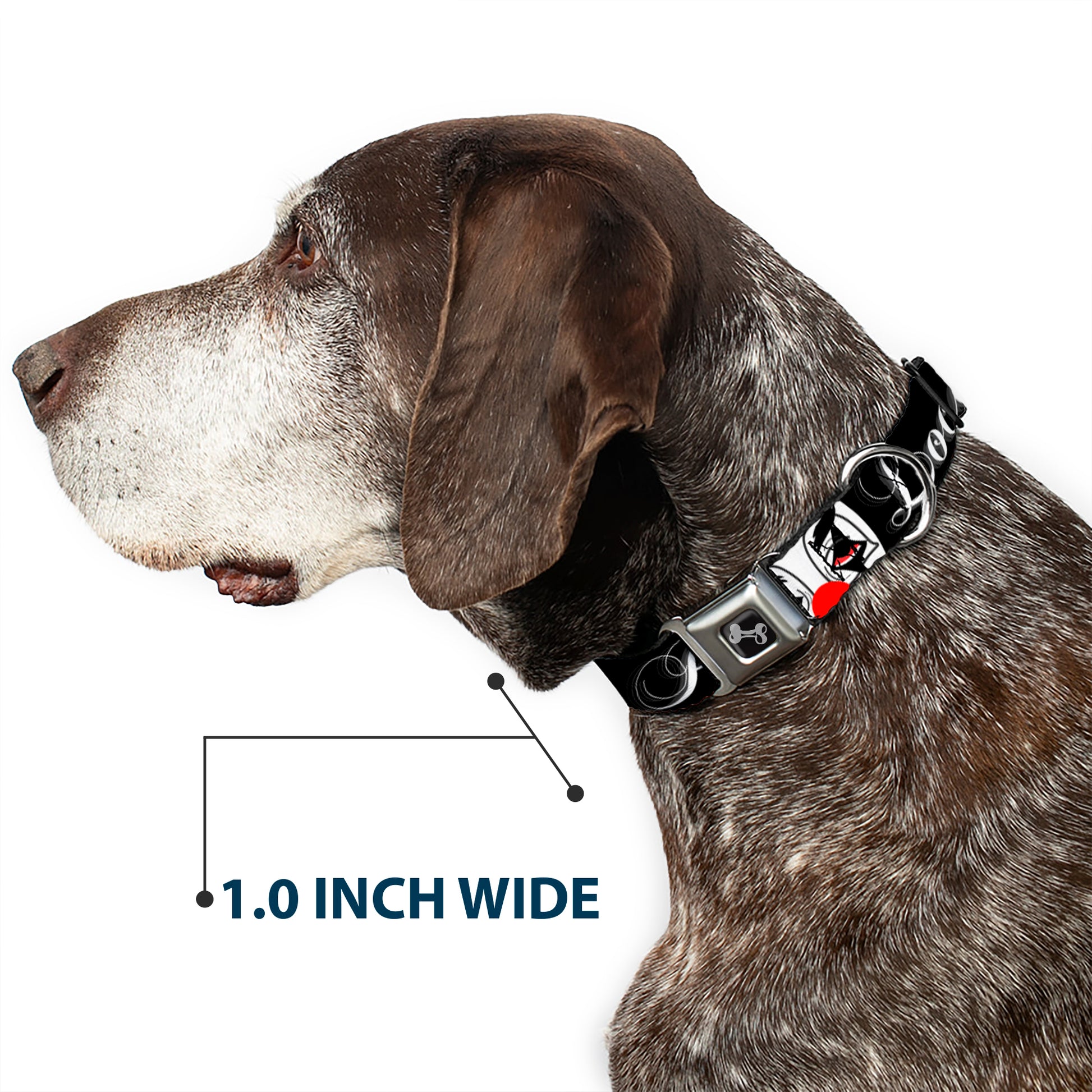 Buckle-Down Seatbelt Buckle Dog Collar - Loco Pro Clown Seatbelt Buckle Collars Buckle-Down