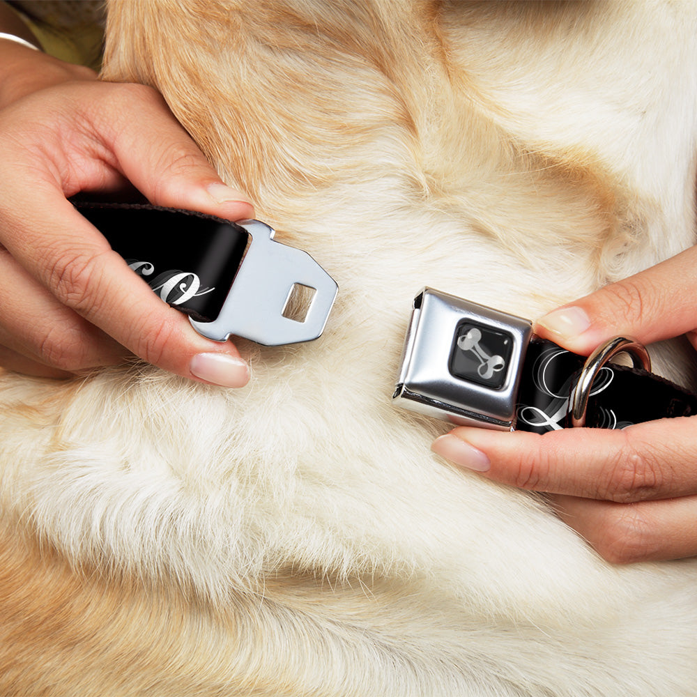 Buckle-Down Seatbelt Buckle Dog Collar - Loco Pro Clown Seatbelt Buckle Collars Buckle-Down