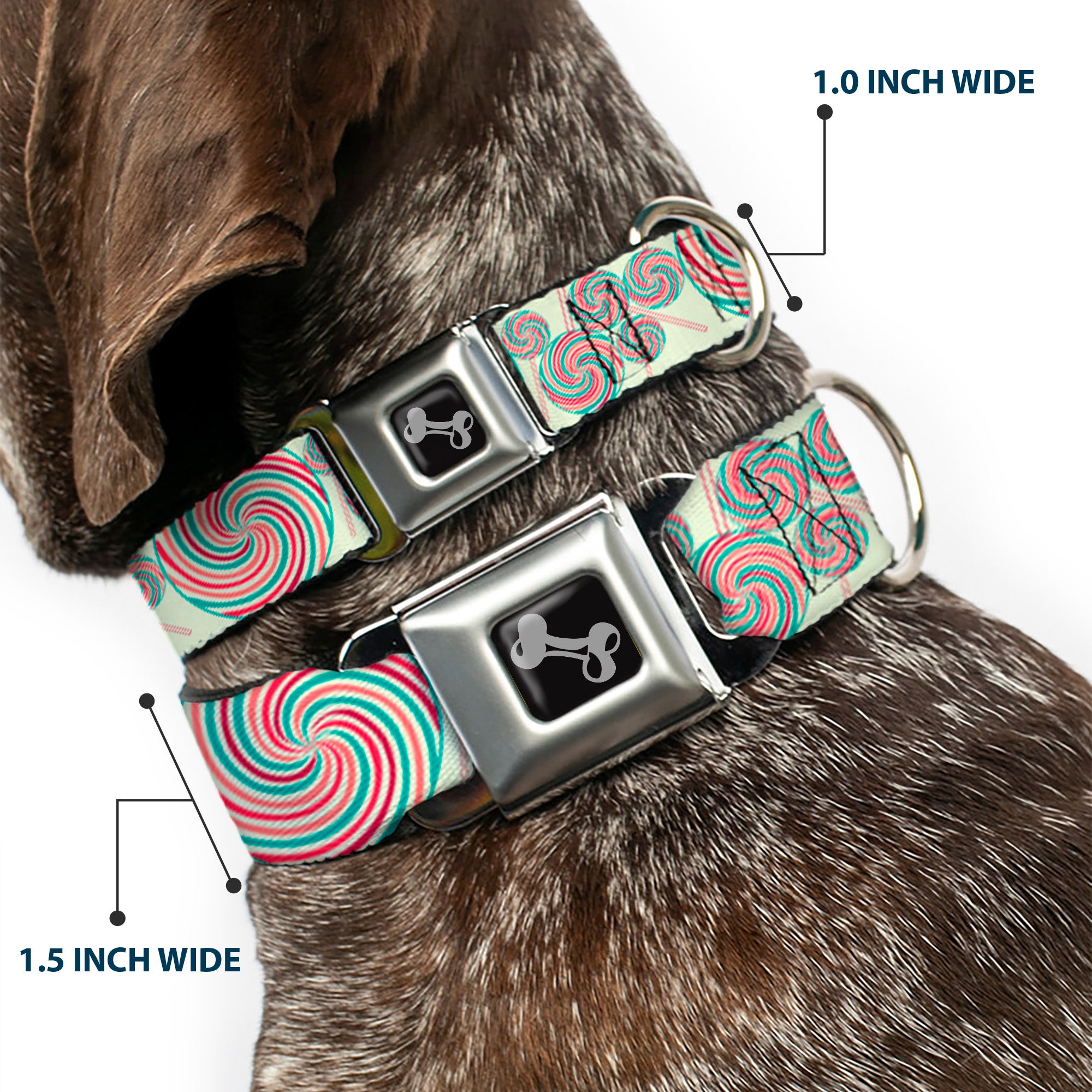 Dog Bone Seatbelt Buckle Collar - Lollipops Seatbelt Buckle Collars Buckle-Down